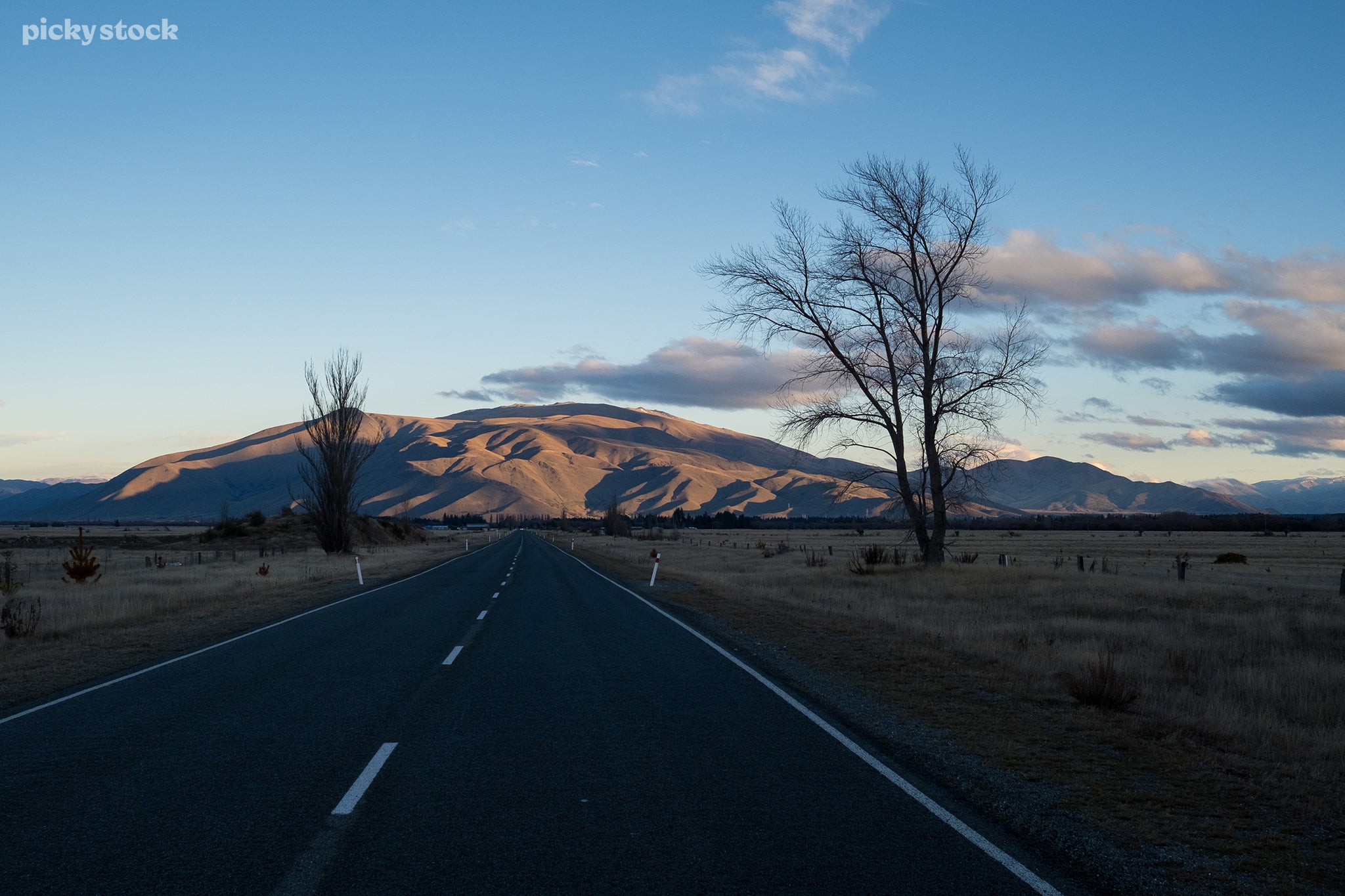 Landscape of a single road stretching across flatlands towards a golden hillside, the shadows cast hard lines across the mountains like a sharp rock, The road is flanked by dead trees waving in the afternoon light.