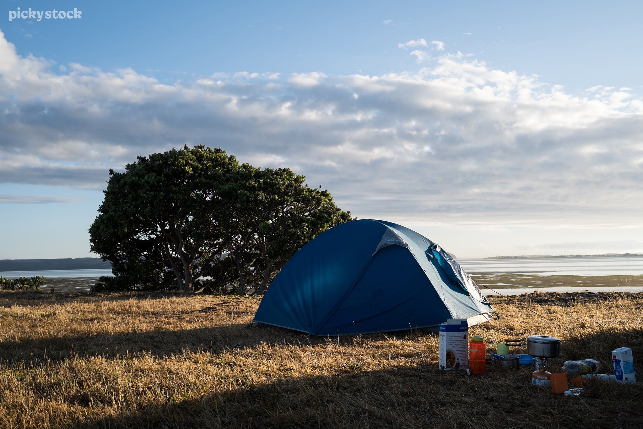 A landscape of a blue camping tent and cooking equipment on a patch of brown wild grass next to a lake. Behind the tent is a large pohutakawa tree not in bloom. The morning light cast ripples of light across the campsite and lake.