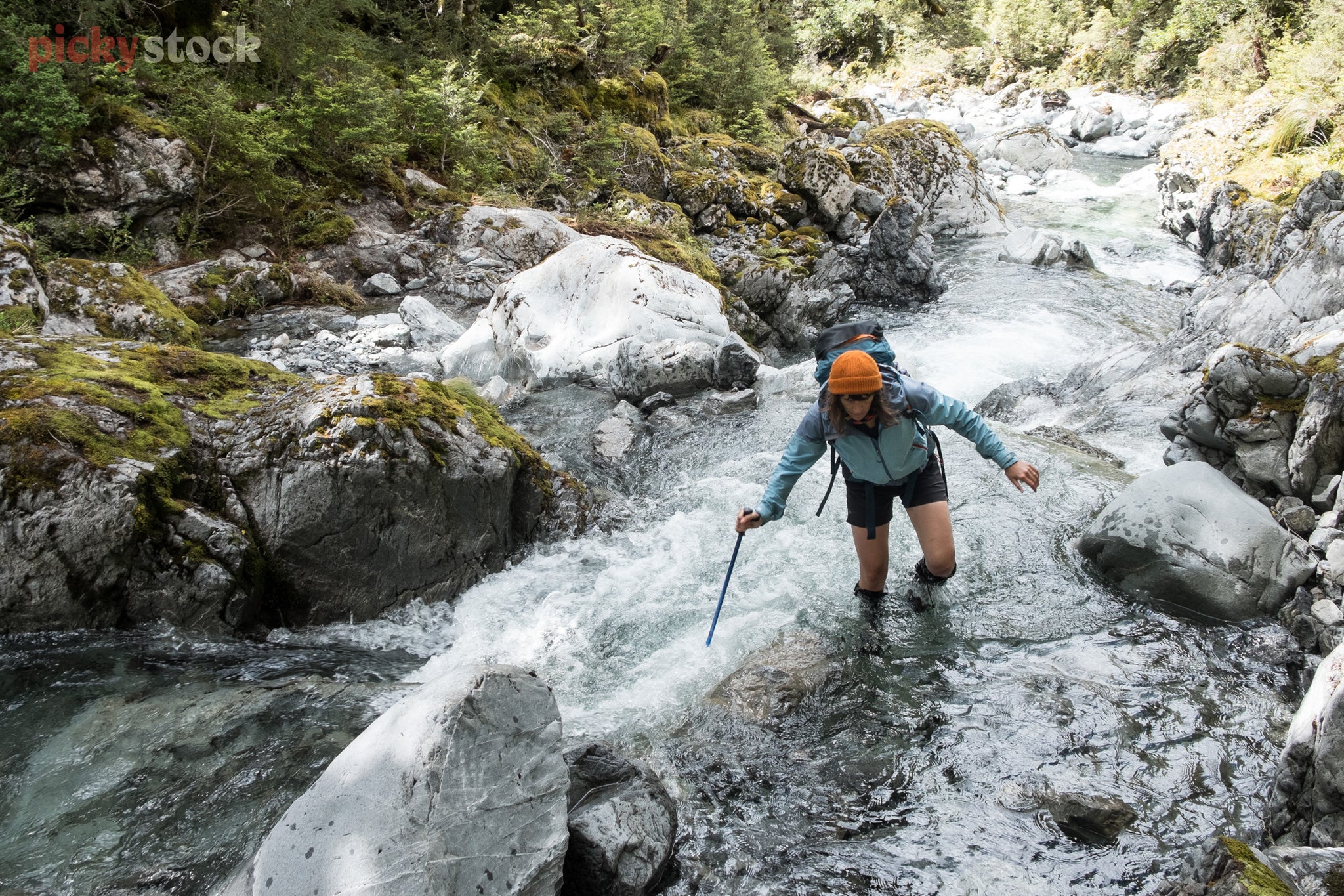 Young female hiker in blue jacket uses pole to do a river crossing, mid-hike. 