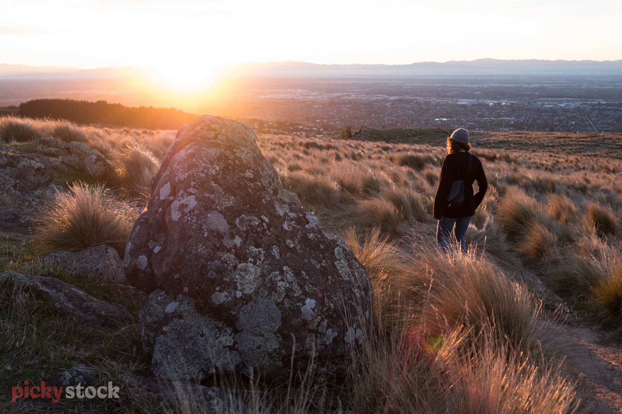 Casual walker with beanie heads down the tussock-covered Port Hills at sunset, heading towards the bright evening light. 