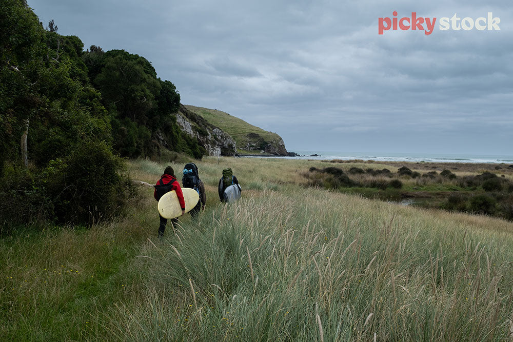 Three mates in warm clothing carry surf boards through long grass towards surf spot. Ocean in far distance. Carrying big backpacks, guy closest to camera in red jacket, yellow natural board. 