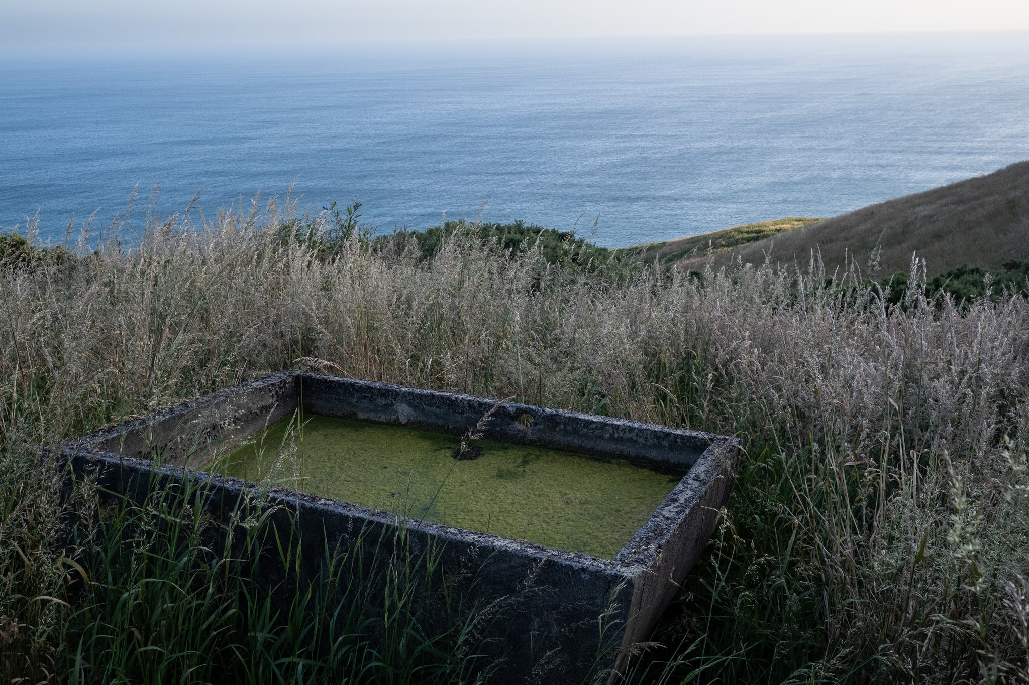 Large water trough on side of cliff, on farm land. Surrounded by long grass. Ocean in background. 