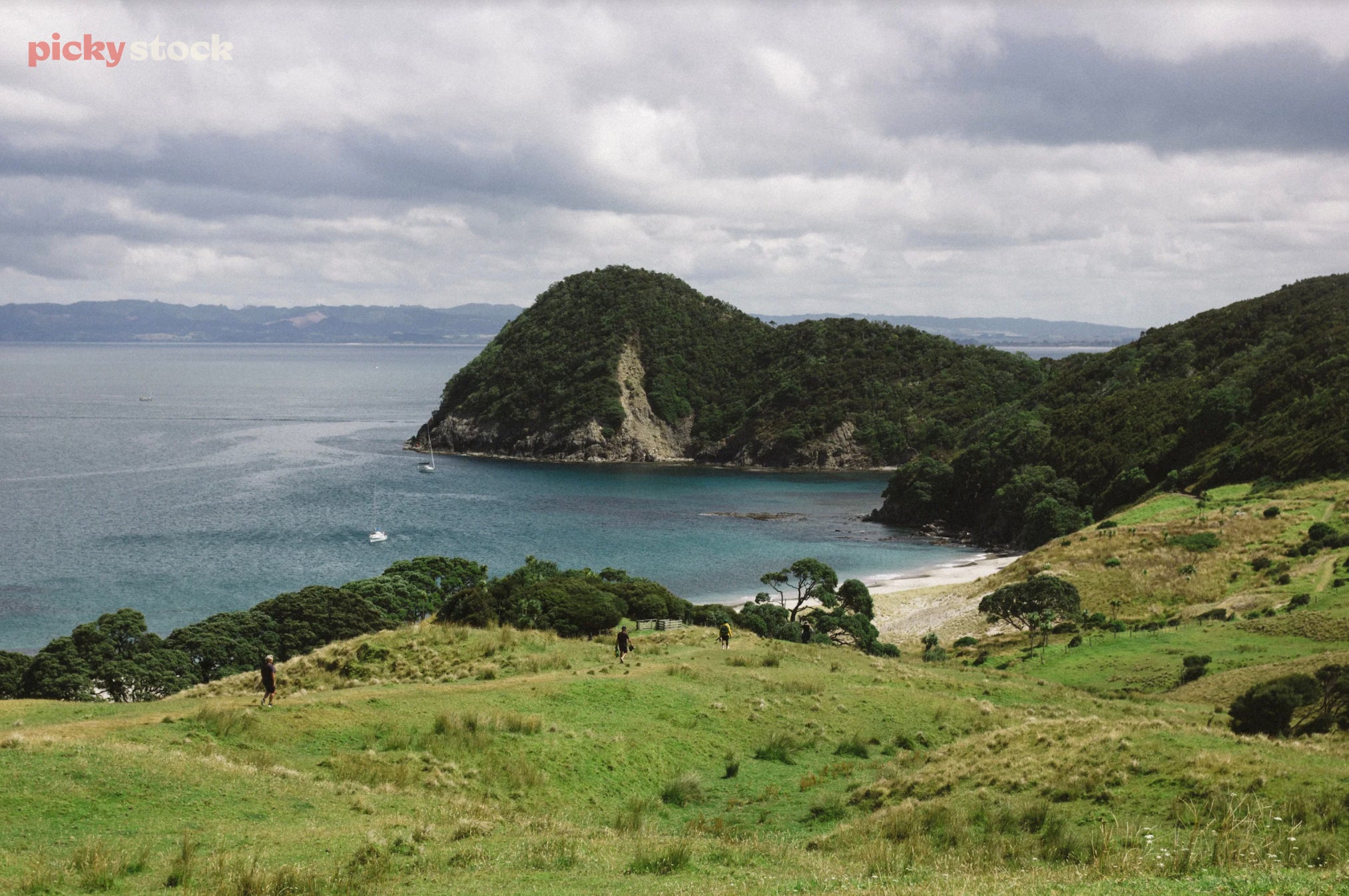 Looking out from a green hill out towards a bush-covered headland in the Northland Region. The emerald blue water sits out to the left, which the grey dull clouds overhed mute the day. 