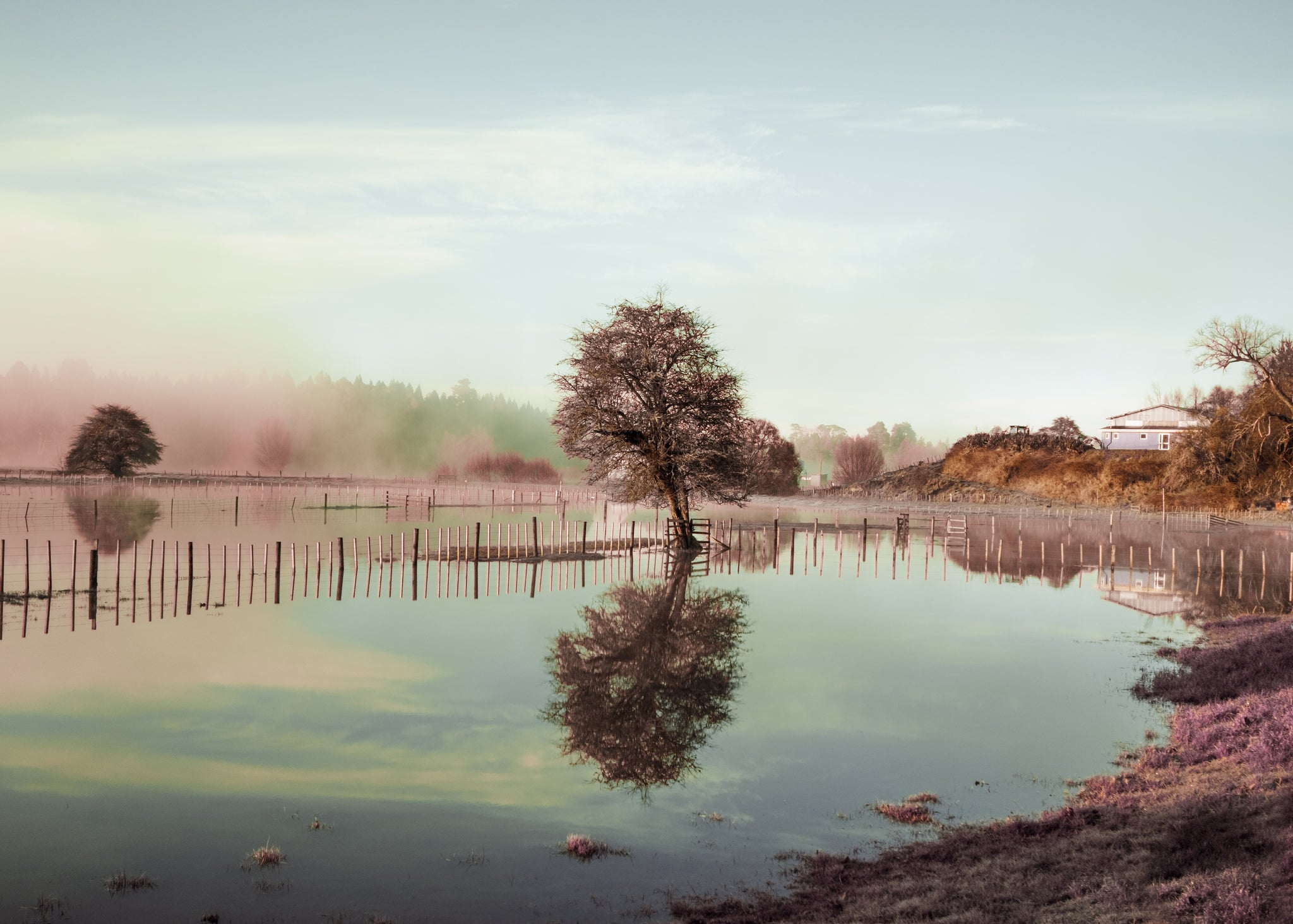 Filmic and surreal image of a flooded New Zealand paddock in dusky light. The calm waters perfectly reflect the lone tree and blue sky. 