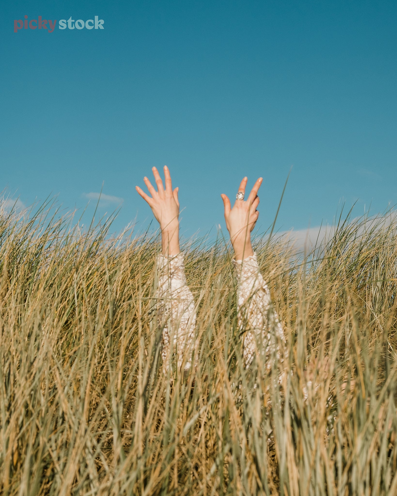 An editorial-style image of a young lady holding her arms up out of headlength thick flax plants. Her hands gracefully reach for the bright blue sky. 