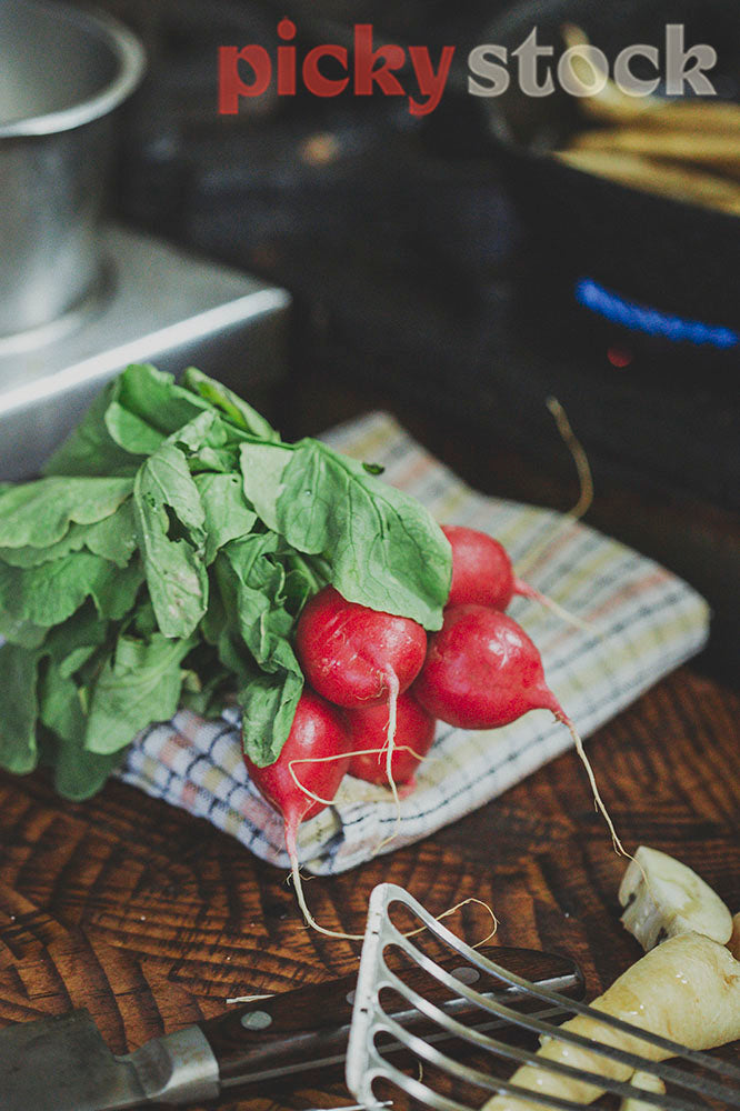 Radishes, resting on a tea towel on kitchen bench 