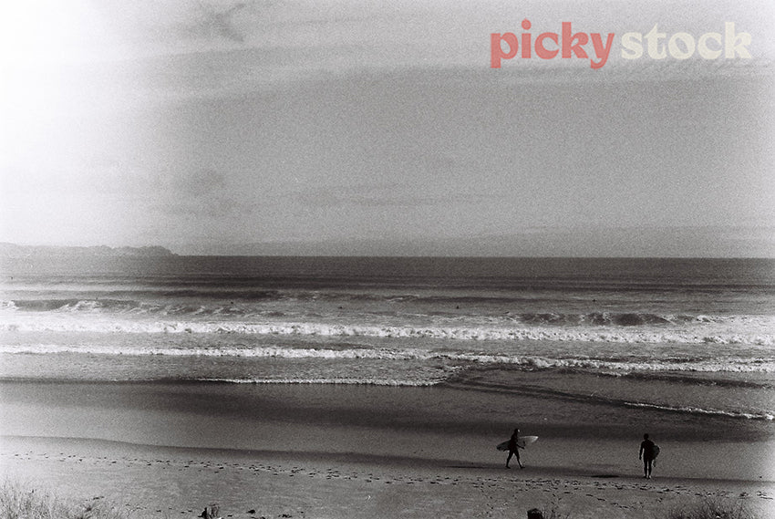 Black and white grainy film of morning surfers in the Tāwaharanui moana.
