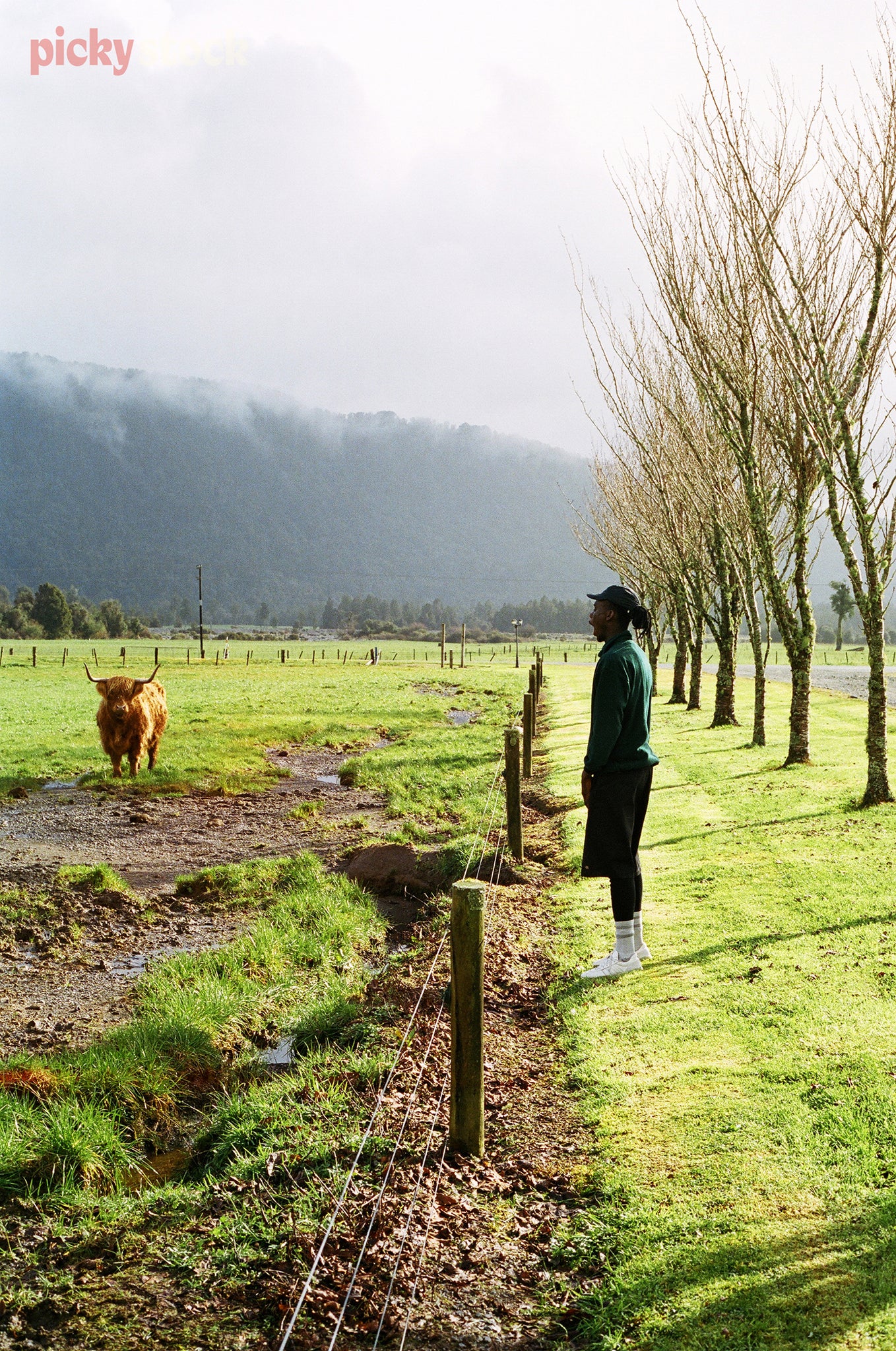 A young man stands overlooking a farm, at a stag in the paddock.