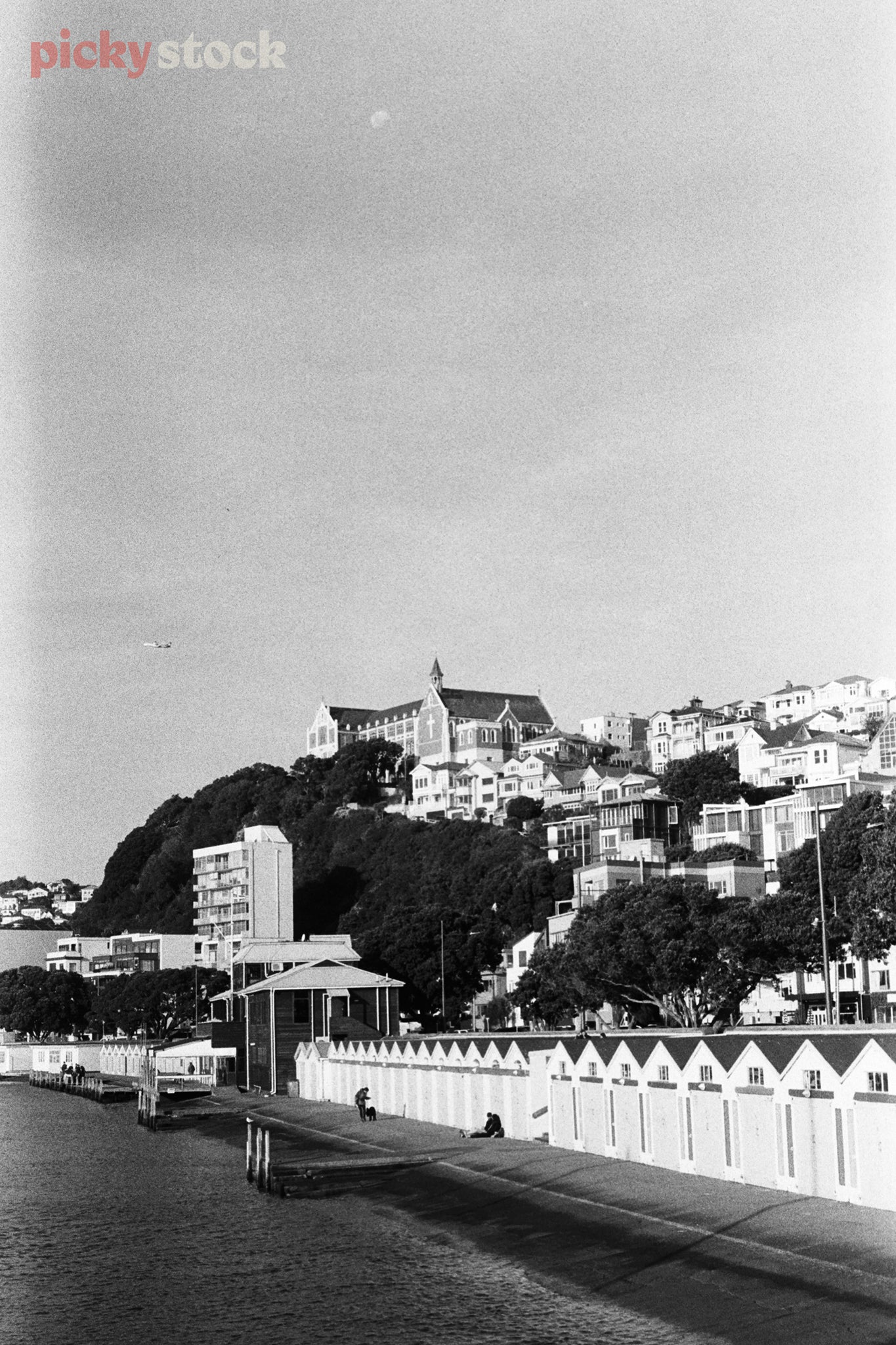 Black and white photograph of Wellington Waterfront looking up towards Mount Victoria. 