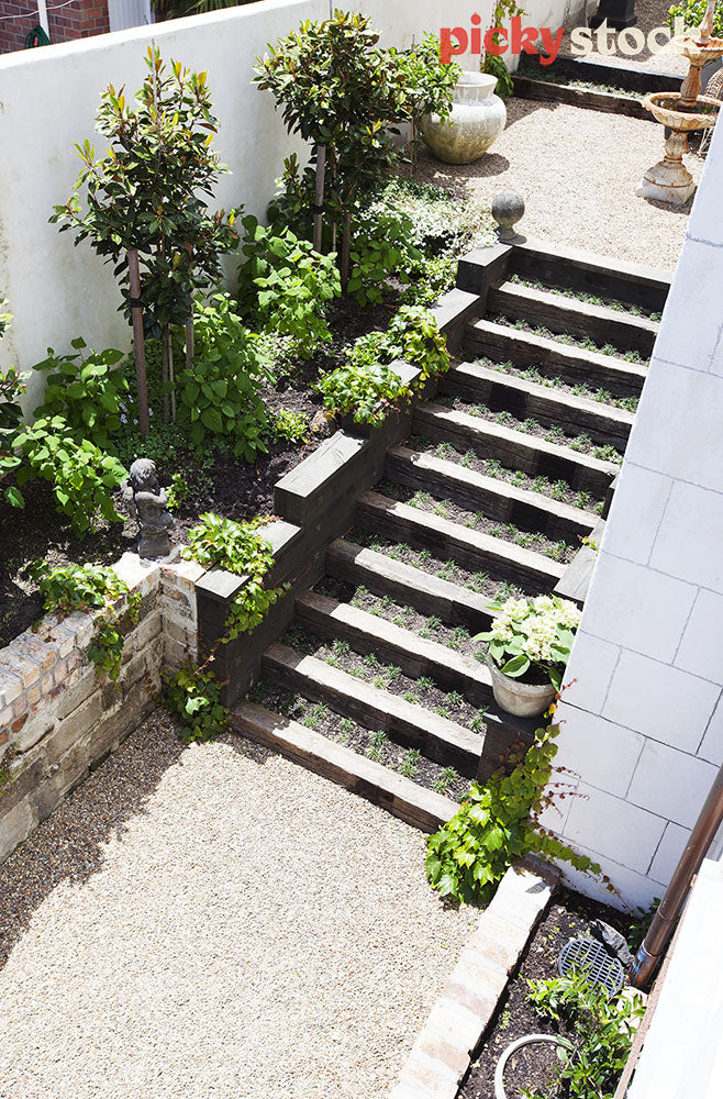 Garden steps in sunshine