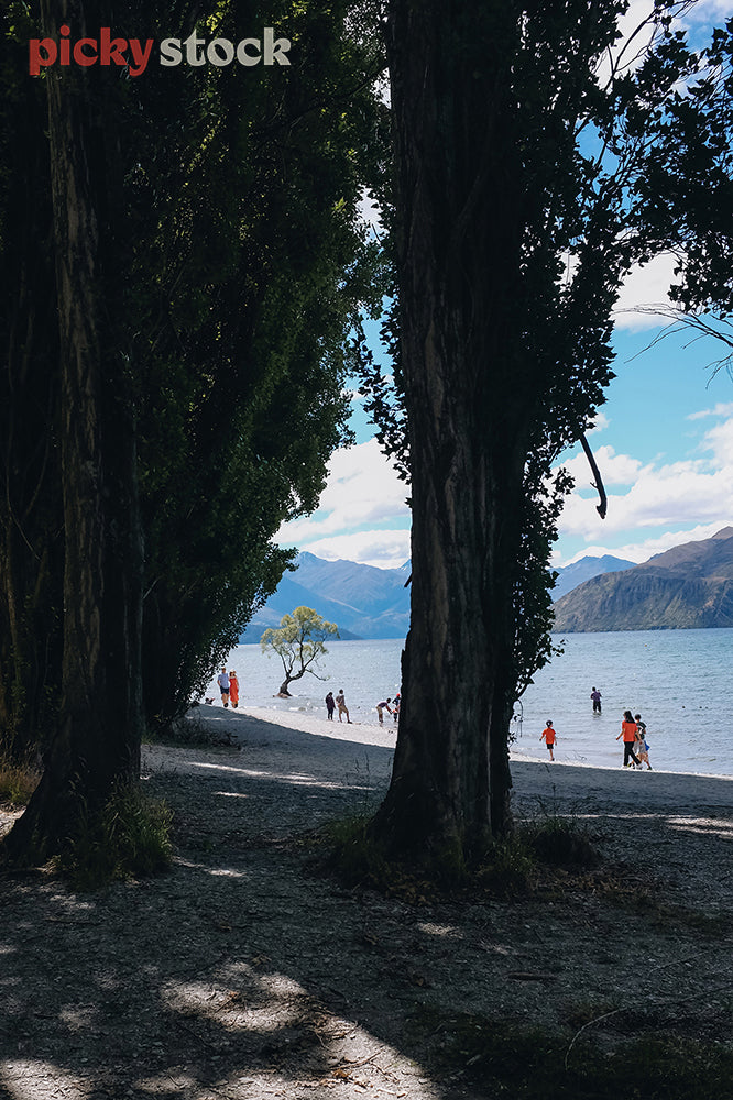 Looking at Lake Wānaka from behind the trees.