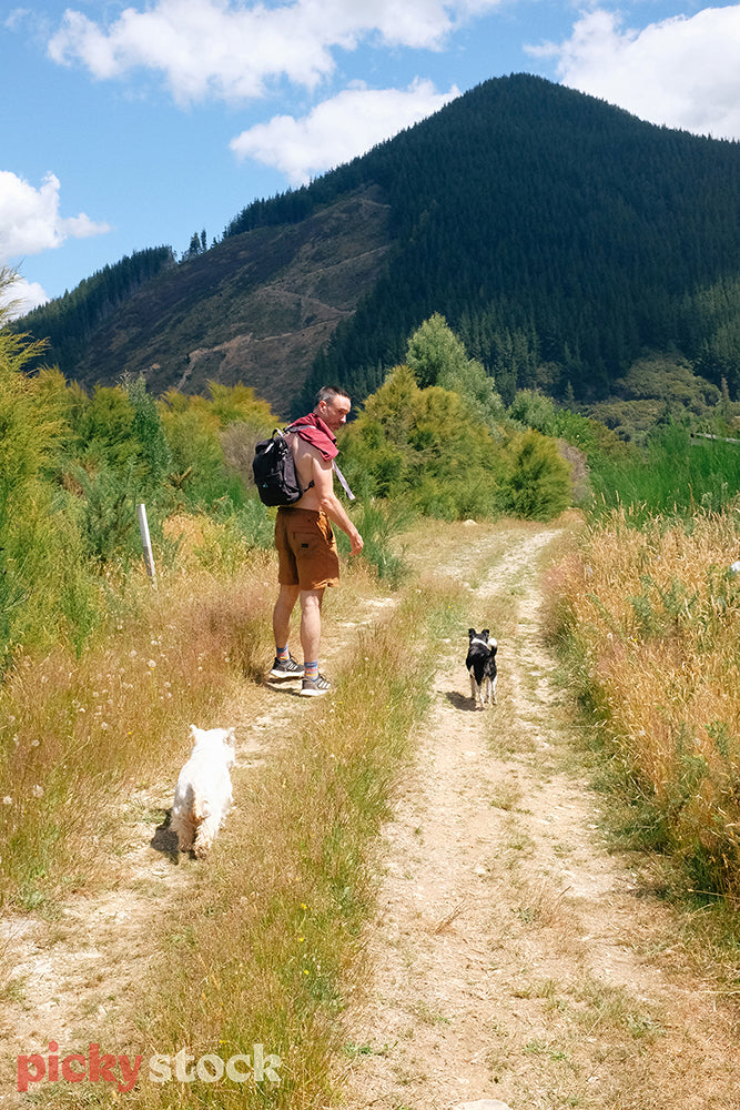 Man on walking trail with two small dogs