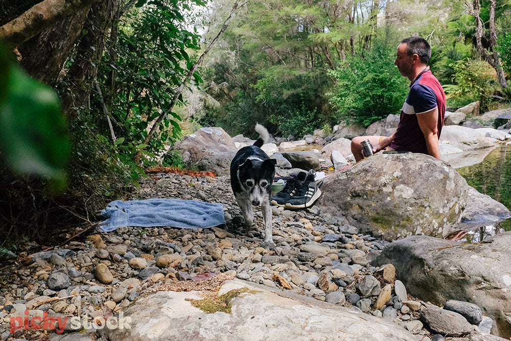 Close up of dog next to a river with owner in the background