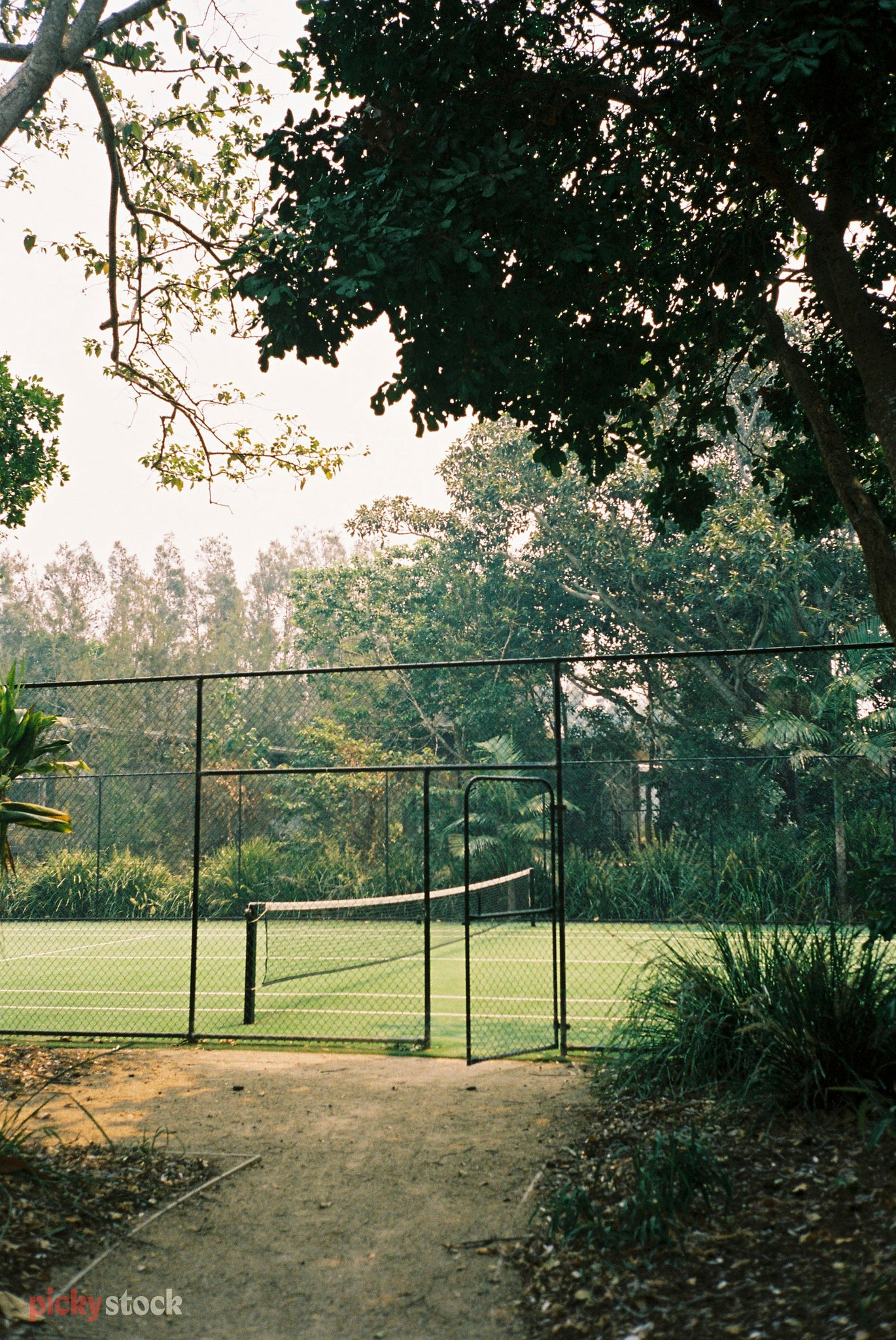 Peeking through the trees to a private grass tennis court, on private property. The gate is half ajar. 