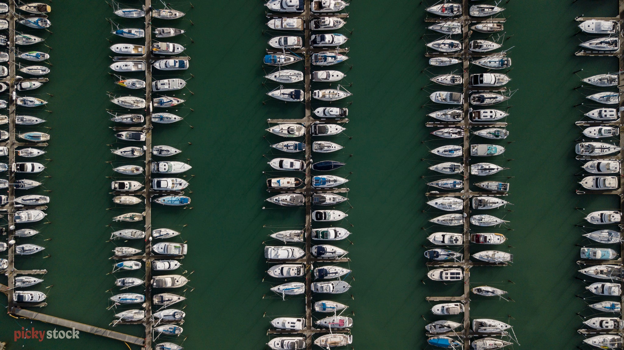 Birds eye image of boats lined up neatly at an Auckland marina.