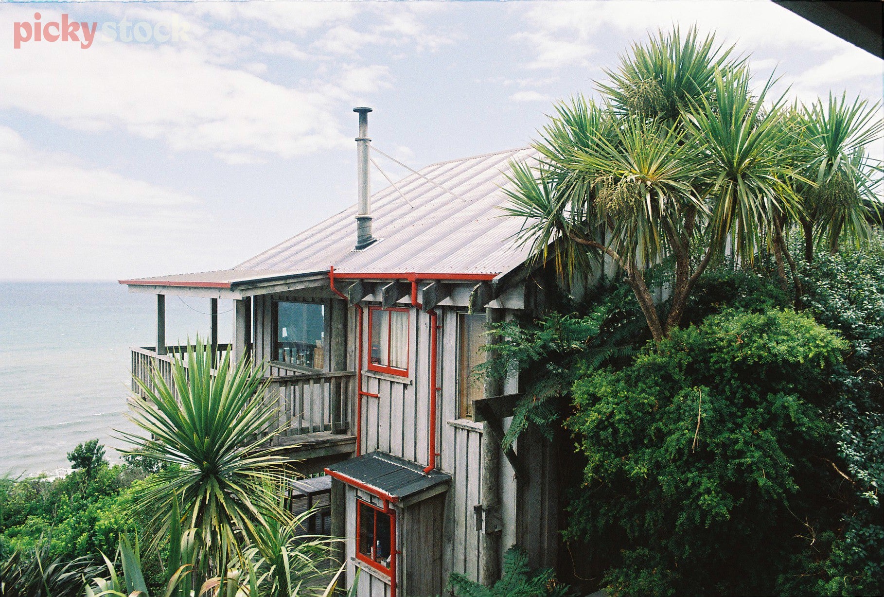 Looking out over a classic Lookwood style, double-story beach house on the coast. The house has red joinery and overlooks the ocean. Cabbage trees sit against the back of the house. 