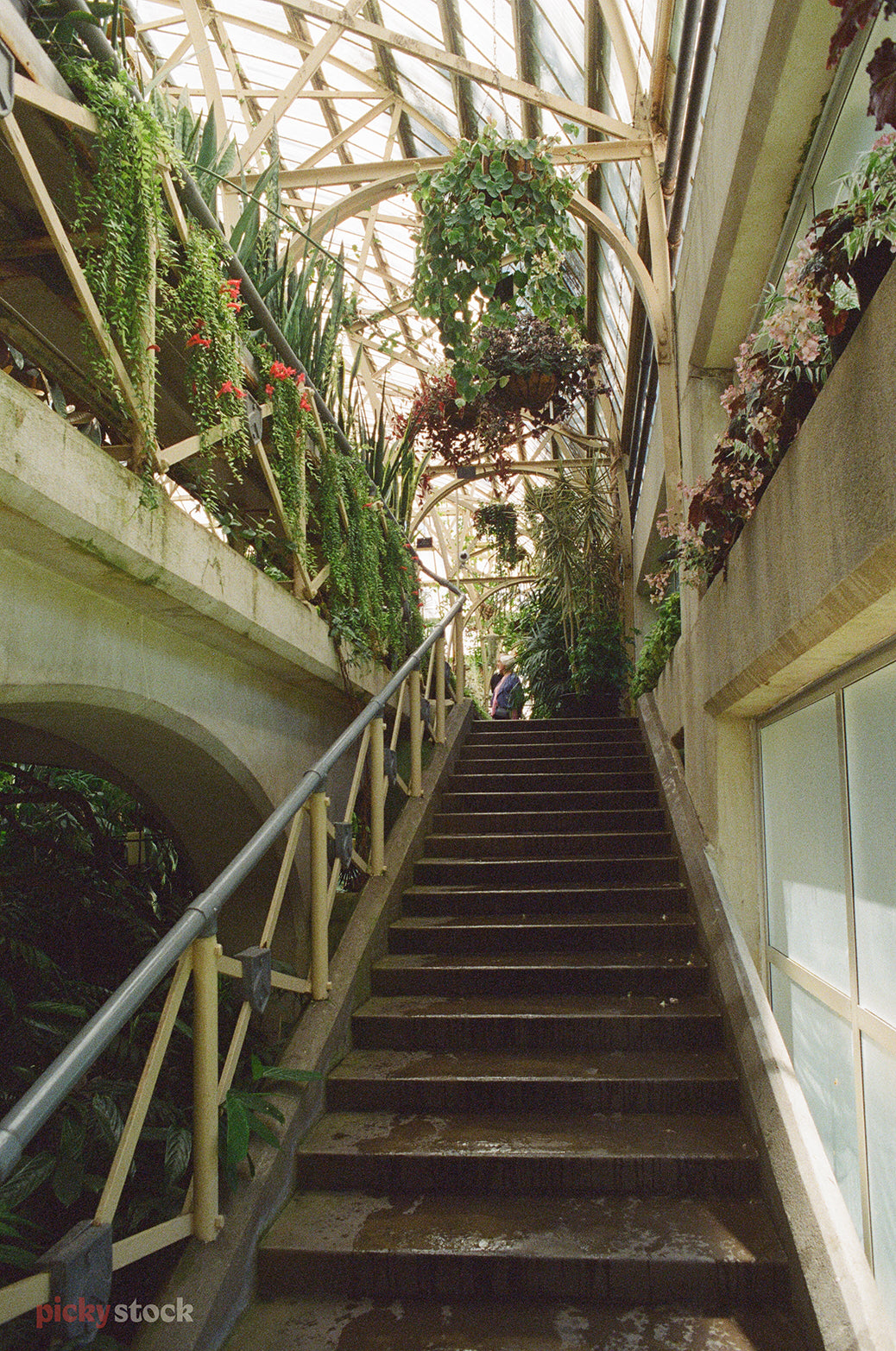 Looking up the concrete steps towards plants in an old plant nursery. The lighting is green tinged, and the overall image has a grainy film grade over it. 