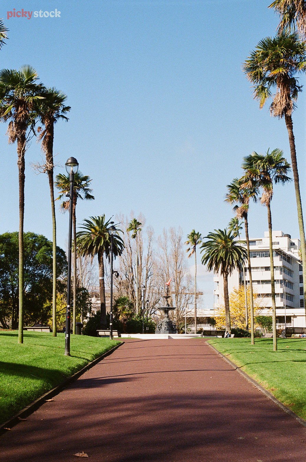 Looking up the red ashfelt towards a circular art deco fountain. The path is lined by pheonix palm trees and the sky is bright blue with no clouds. 