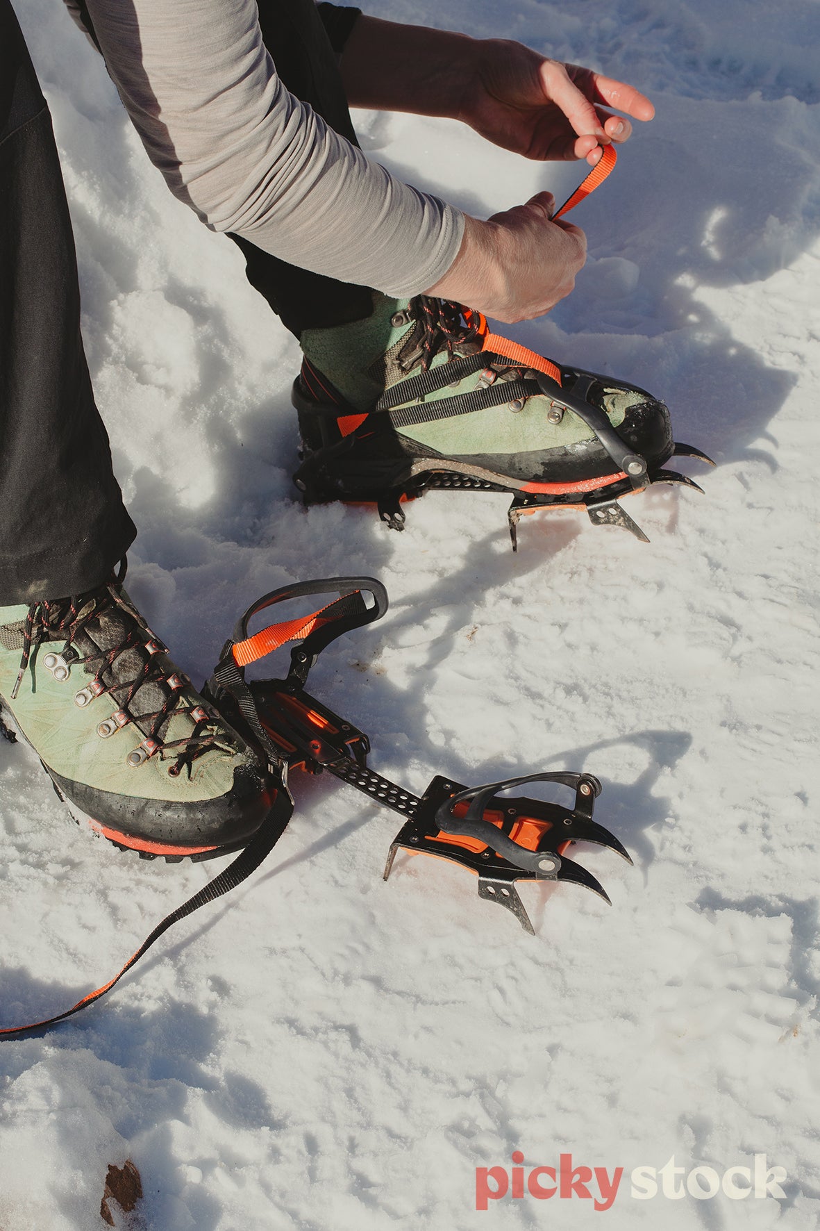 Hiker in grey top doing up snow spikes for mountain shoes. Bright orange laces, while standing in snow. Two hands do up orange laces.
