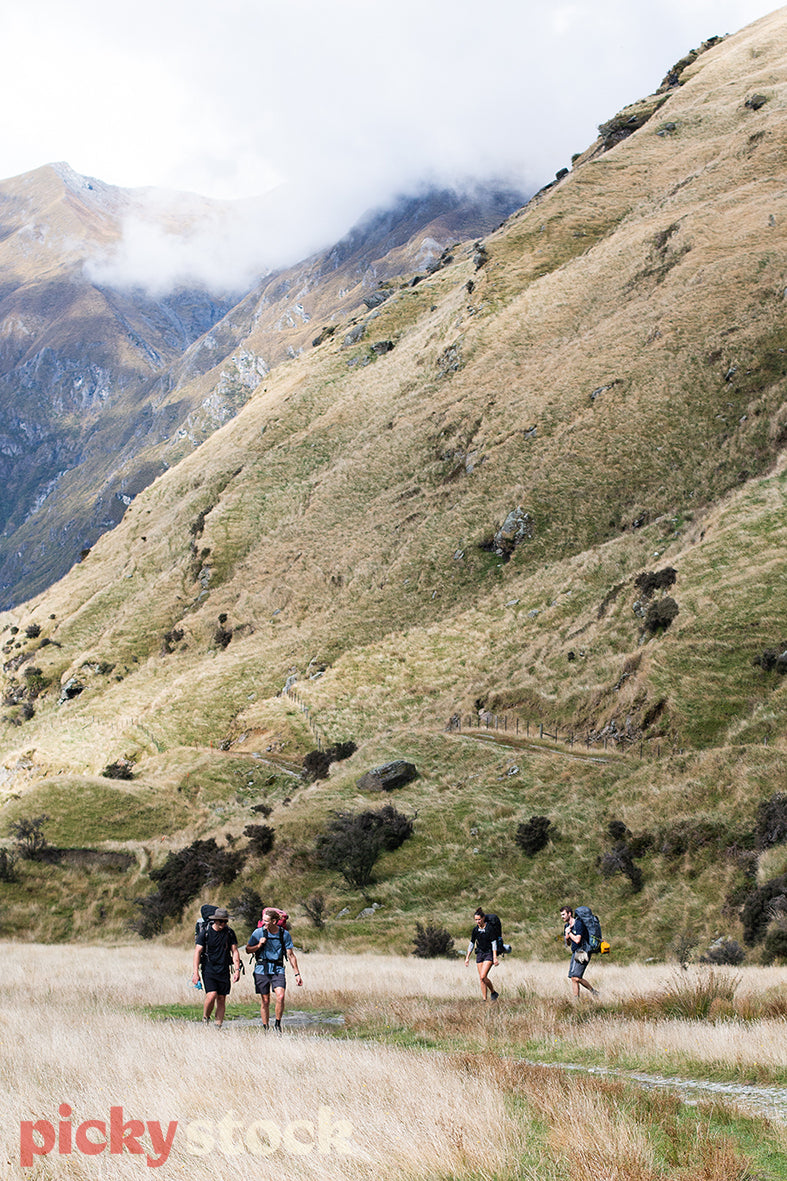 Portrait image of four trampers facing camera walking in the National park, in the valley. Large green dry epic mountain behind them. Walkers wearing black and blue clothing. Carrying tramping packs. walking through the dry tussock, brown mountain grass. 