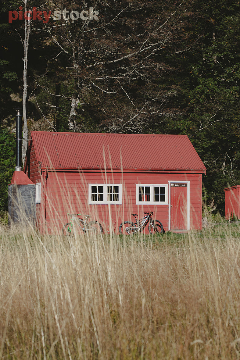 Portrait shot of a red hut, with white rectangle windows, sitting within the long dry mountain grass / tussock. Two bikes parked against the front of the hut. background is green forest. 
