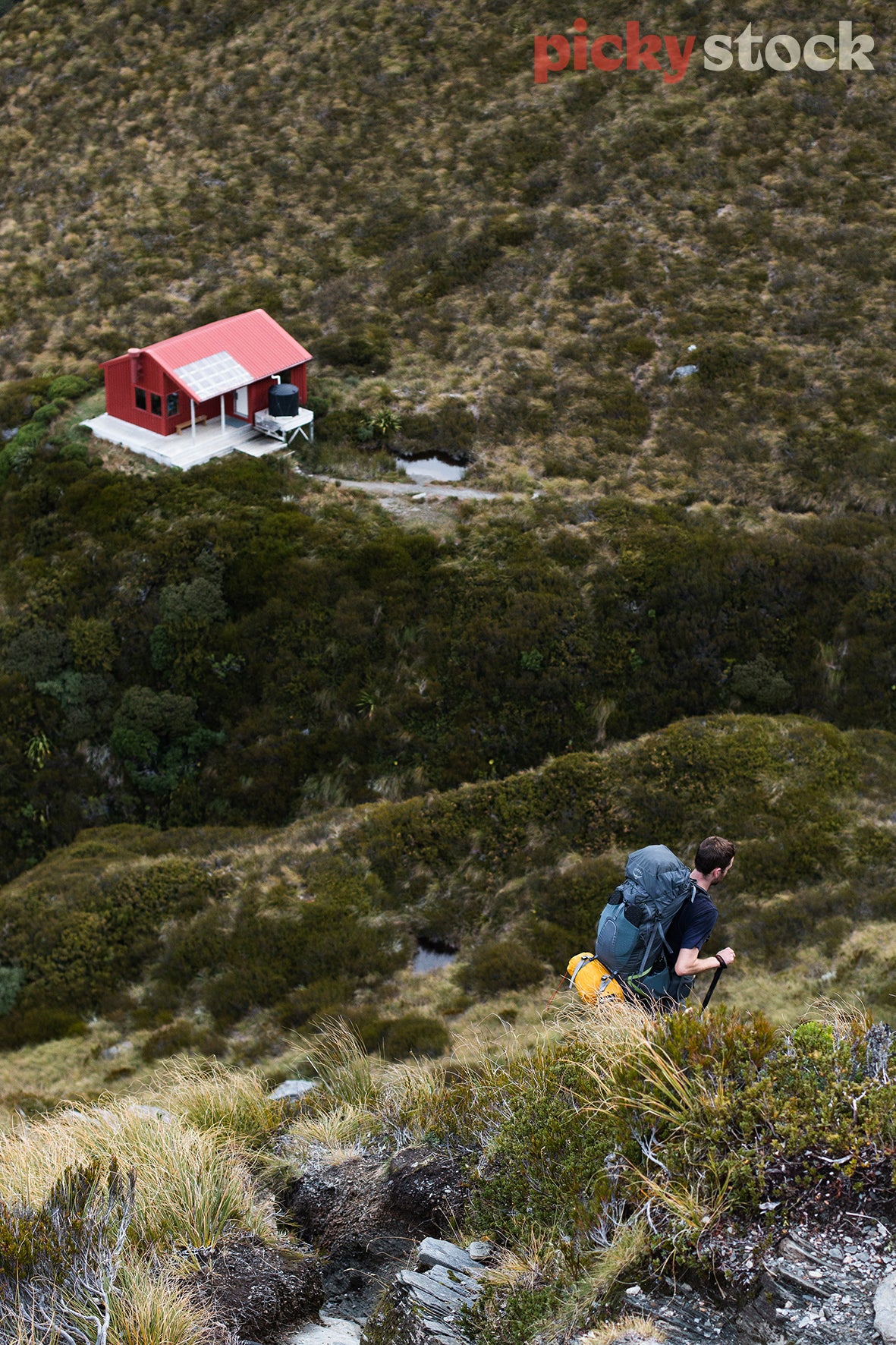 Single tramper hiker with poles walking down to red tramping hut. Hut can be seen in the left corner. Sitting on a white concrete block, with solar panels on the roof. Mountain path is green,. with some mountain tussock. Blue tramping back, with yellow sleeping bag