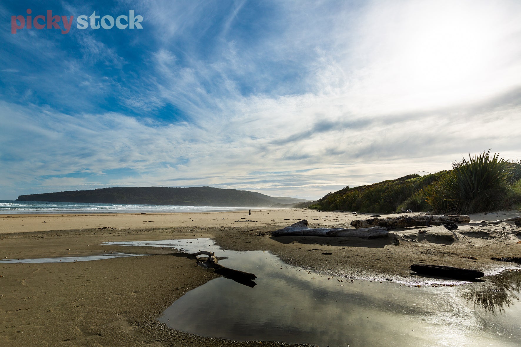 Beach scene with patches of water further up the beach. Logs scattered throughout the golden sand. Blue sky with lots of cloud visible. 