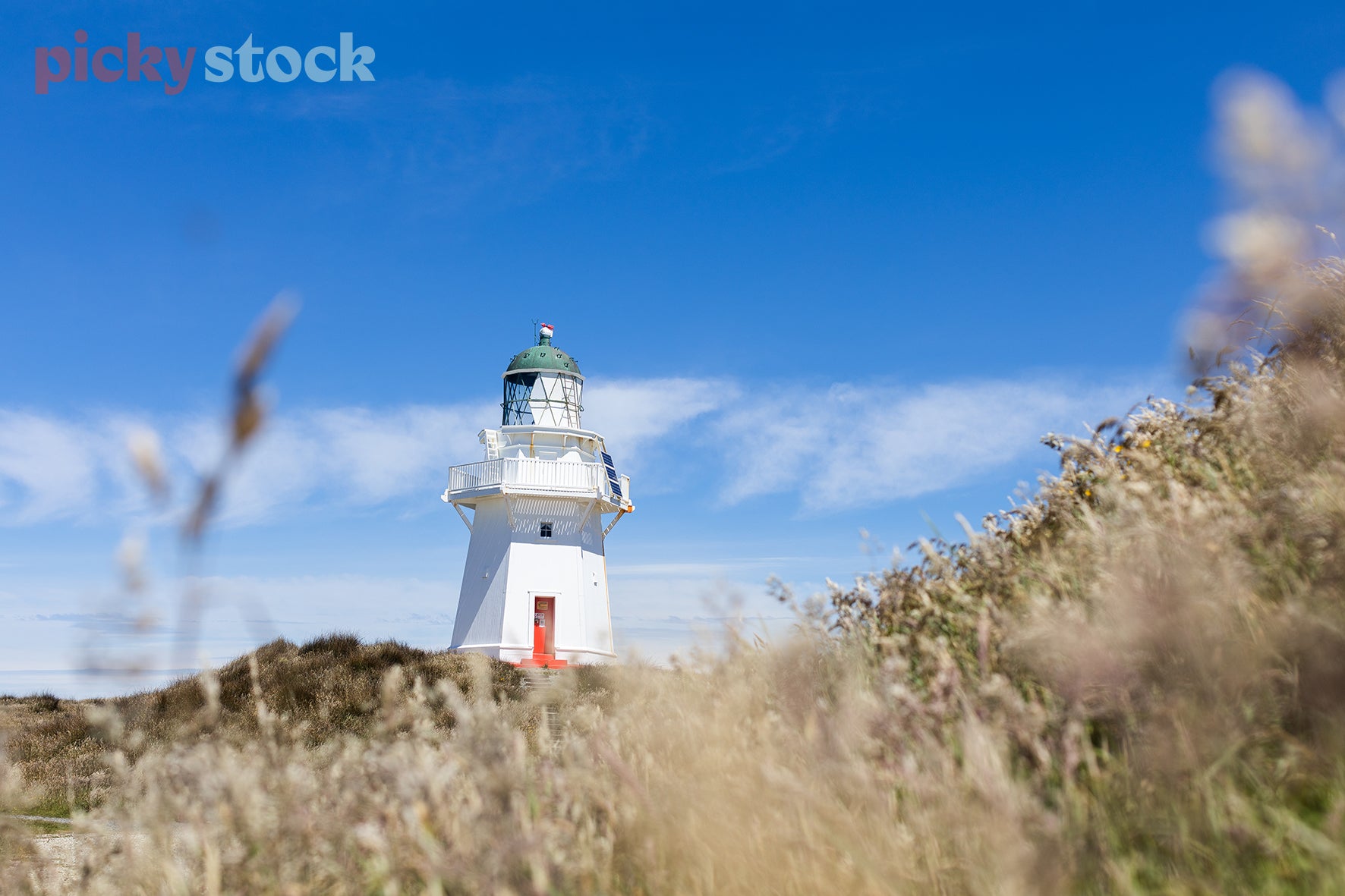 Low angle image looking up at a lighthouse through the dunes and field of bunny tails. Lighthouse is white with red trimming. sky is a bright blue with a little cloud. 
