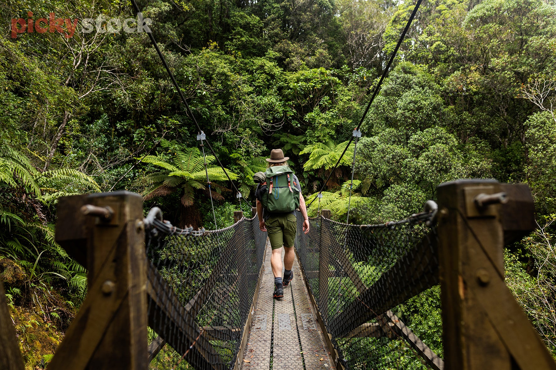 Man wearing brown hat walking through dense green bush on a hike. Wearing large green tramping backpack. Going over bridge towards a large bush forest area. 
