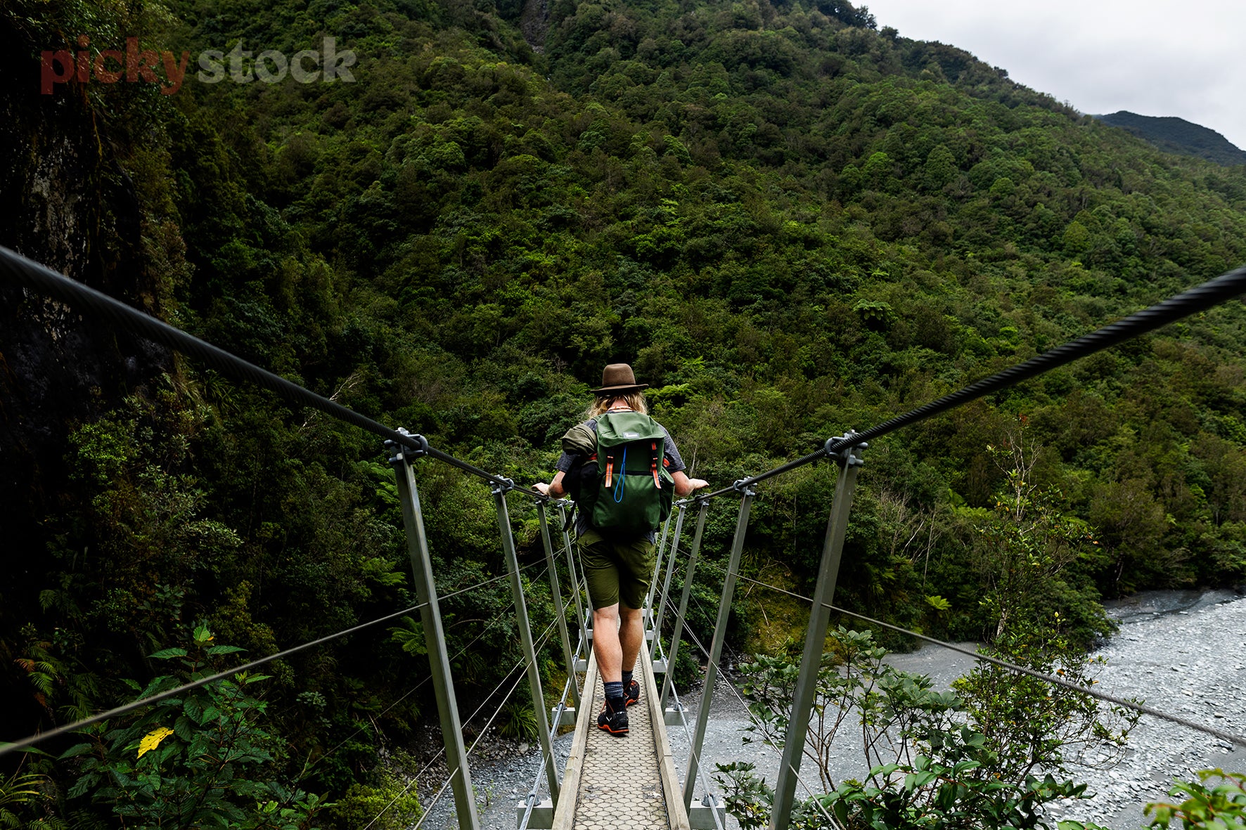Low angle of man wearing brown hat walking through dense green bush on a hike. Wearing large green tramping backpack. Going over bridge towards a large bush forest area.  River is visible below bridge.  