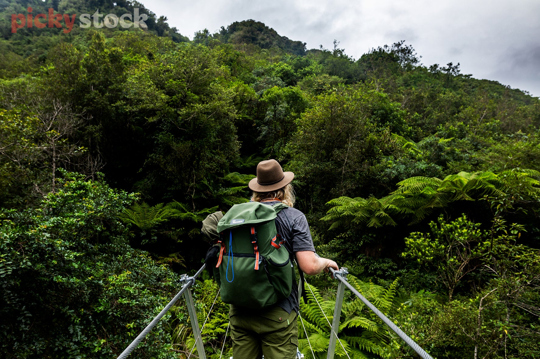 Man wearing brown hat walking through dense green bush on a hike. Wearing large green tramping backpack. Going over bridge towards a large bush forest area. 

