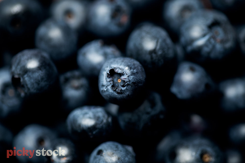 Macro shot of fresh blueberries in pile