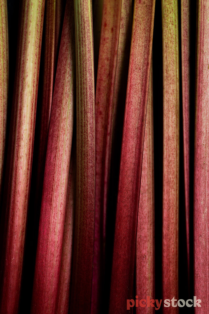 Close up of stacks of rhubarb lined up vertically on dark surface. 