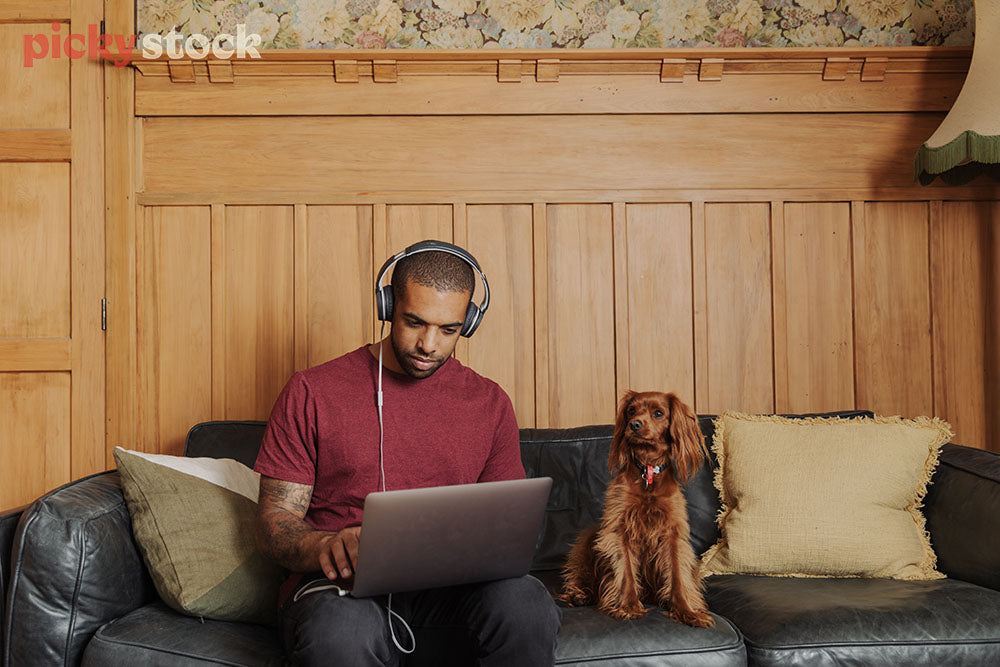 Man working from comfort of couch, with dog. 