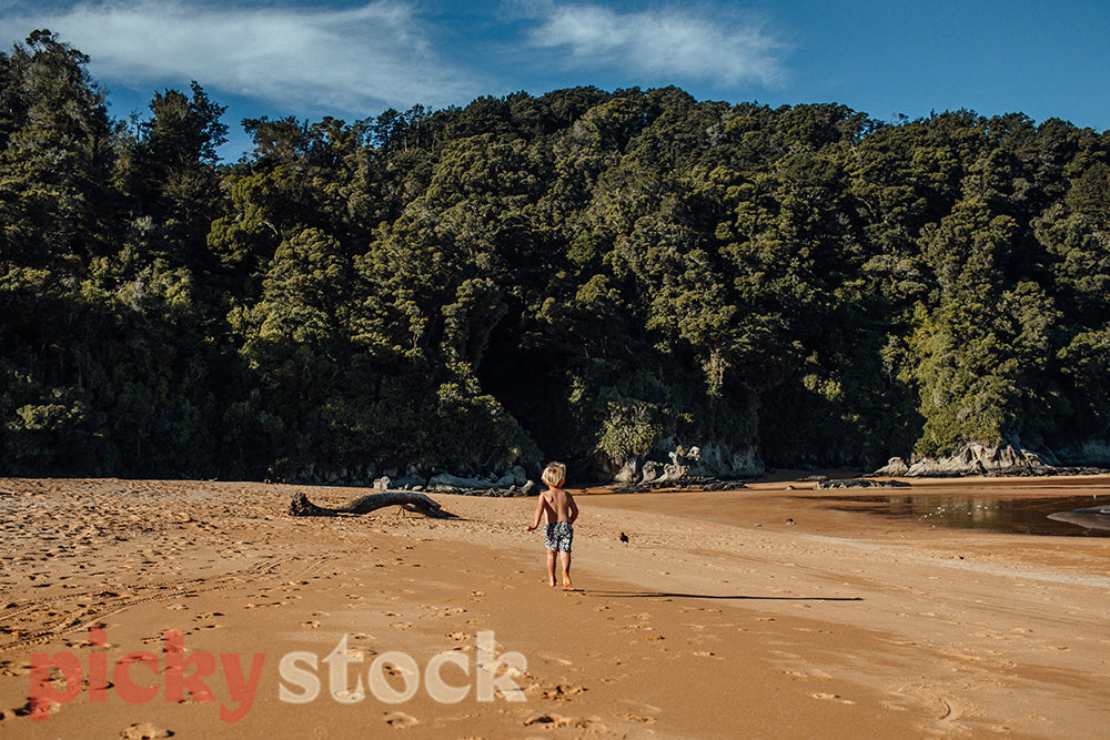 A young boy runs down a golden beach surrounded by native New Zealand Forest, Abel Tasman