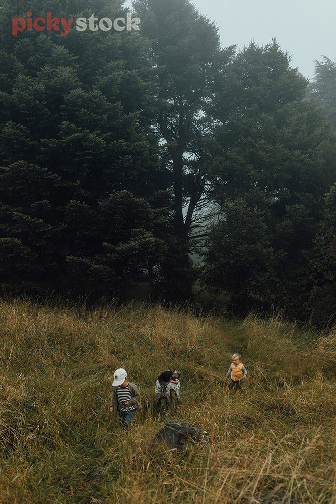 Two young boys and their dog on an adventure in the forest on a misty day
