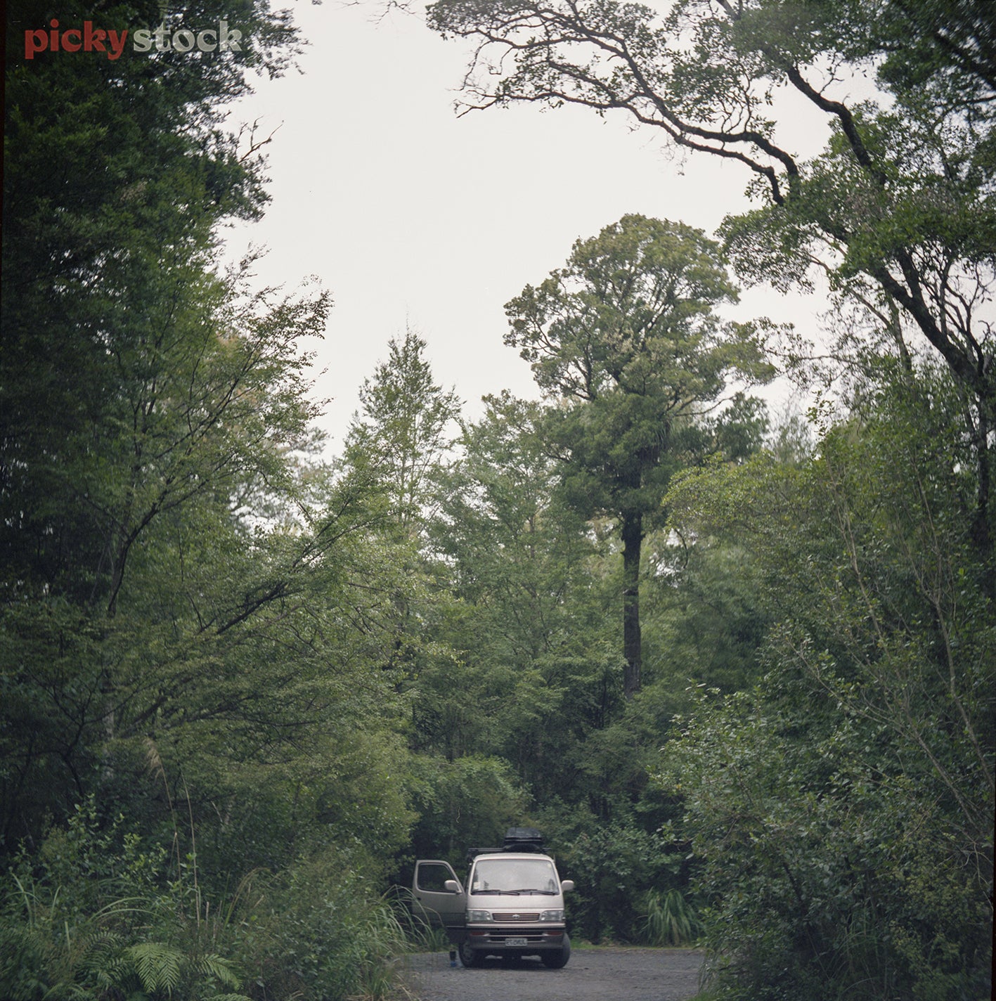 Grey van with driver door opened surrounded by trees in National Park. 