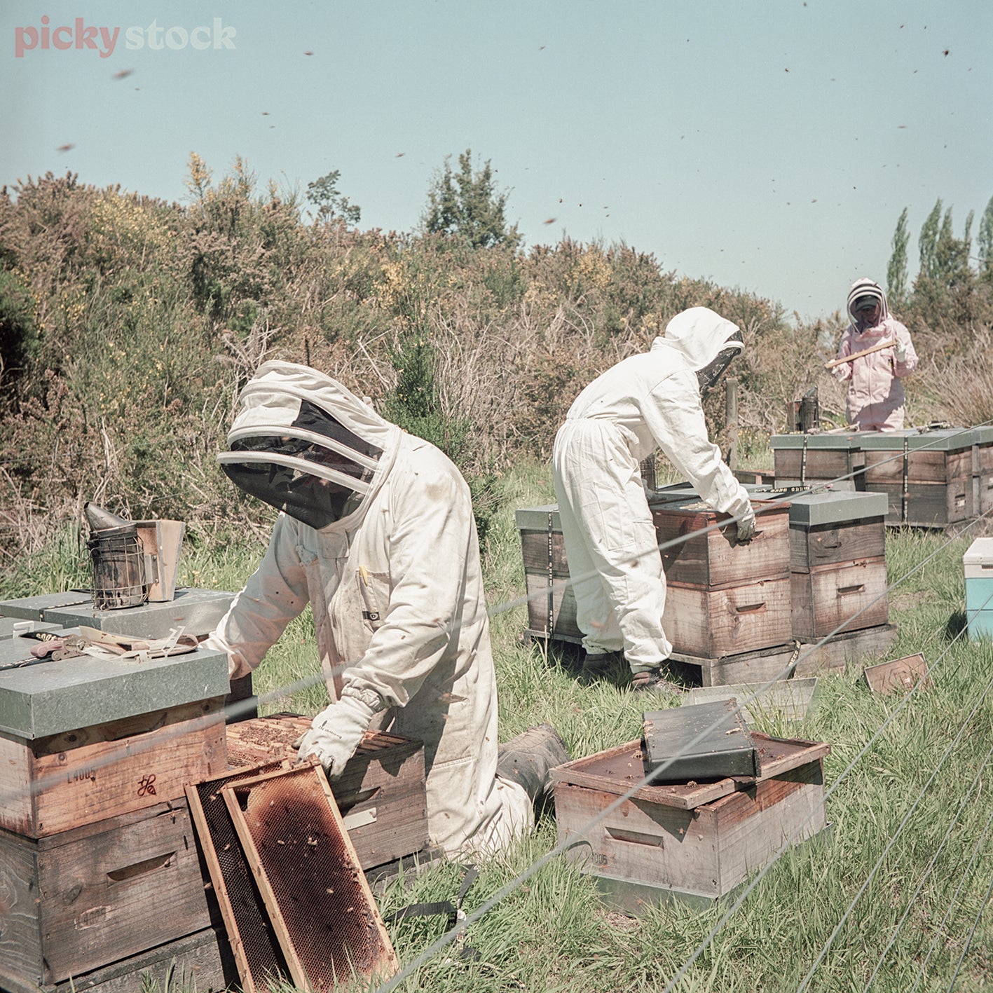 Theee beekeepers inspecting a bunch of hives. Standing in different directions, lids removed from hives. Soft blue sky day. Next to an electric fence. 