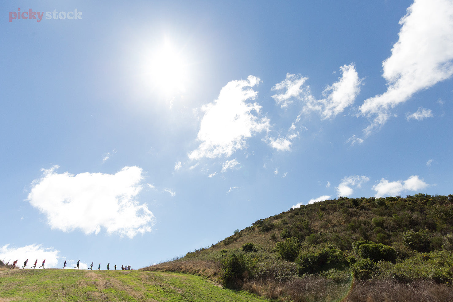 Group of runners running along rolling green hills against blue sky. 
