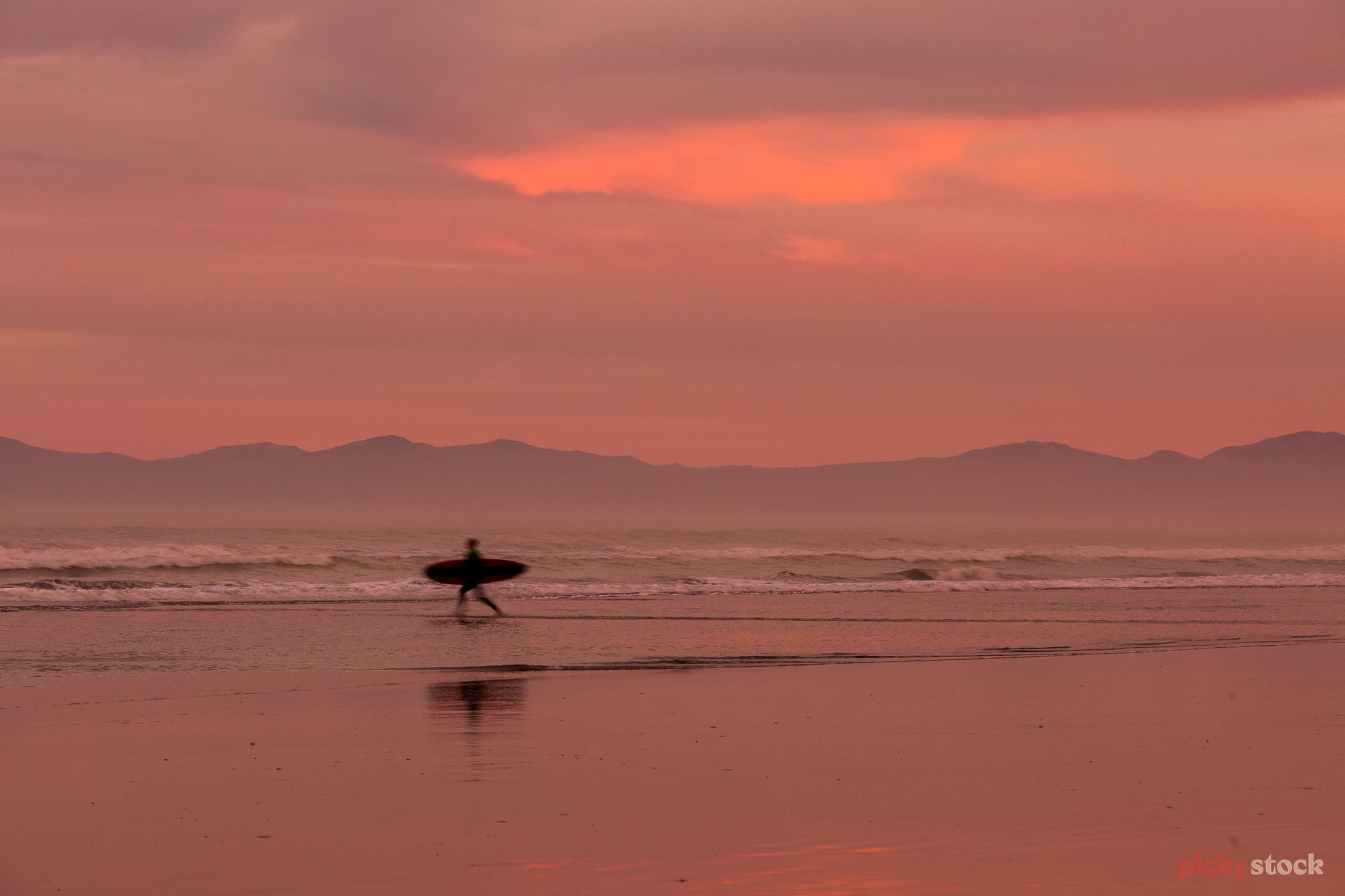 Surfer in Piha Auckland walks against the pink evening light at low tide. Carrying a surf board. 