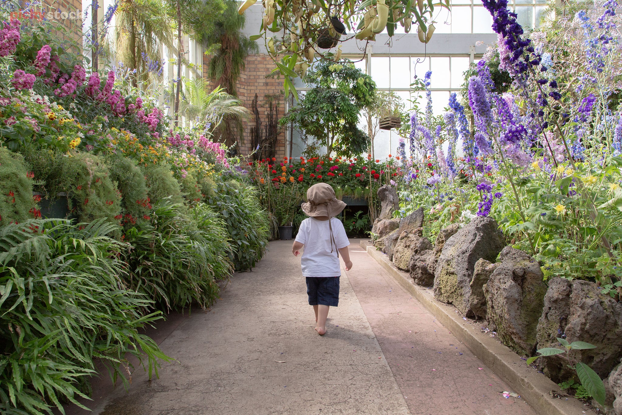 Landscape of a child in a large brown hat walking through a garden center flanked by an array of colourful planks.