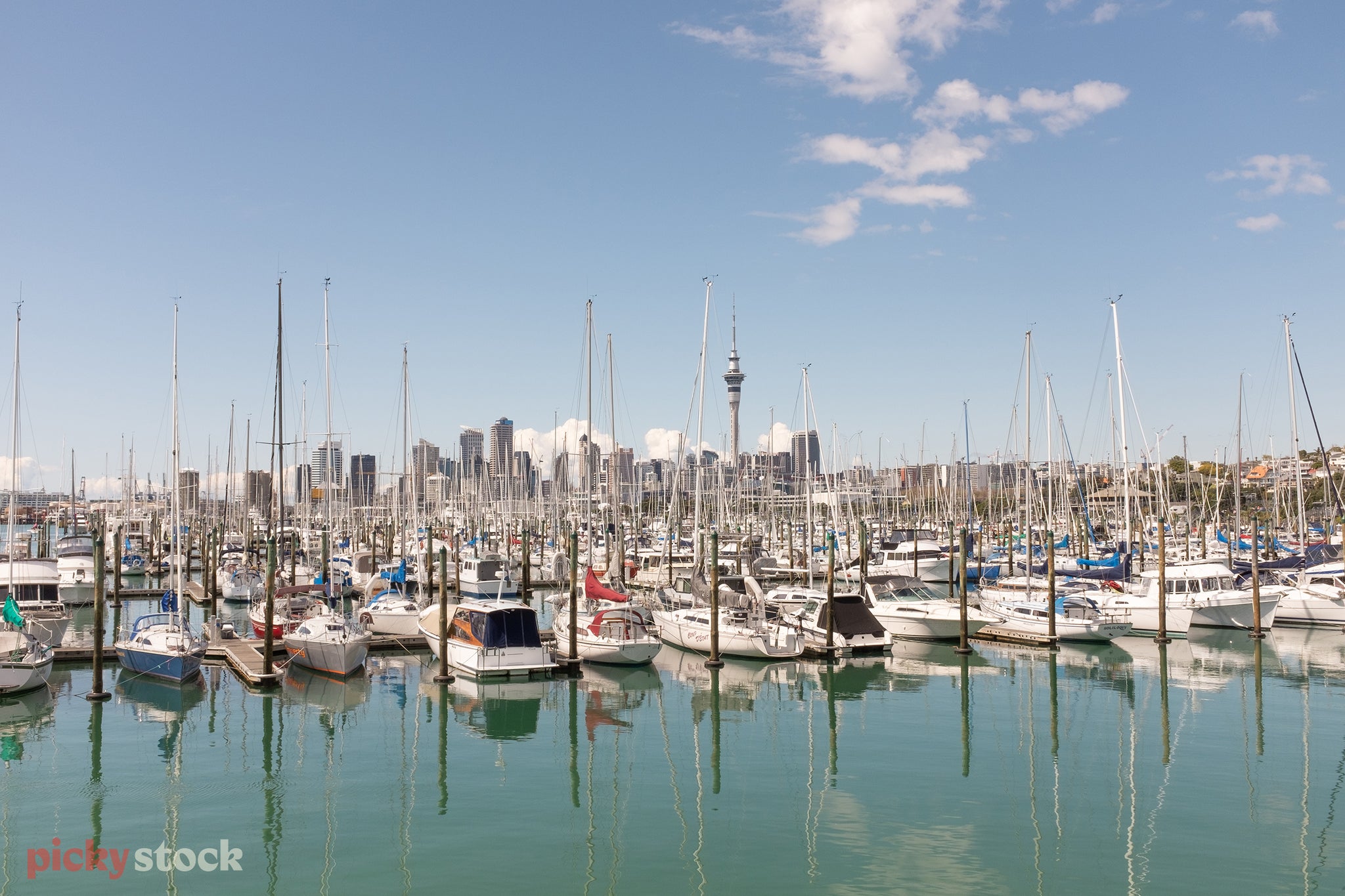 Sail boats neatly lined up and docked at a downtown Auckland Marina, the city high rises and buildings can be seen peeking up through the background. 