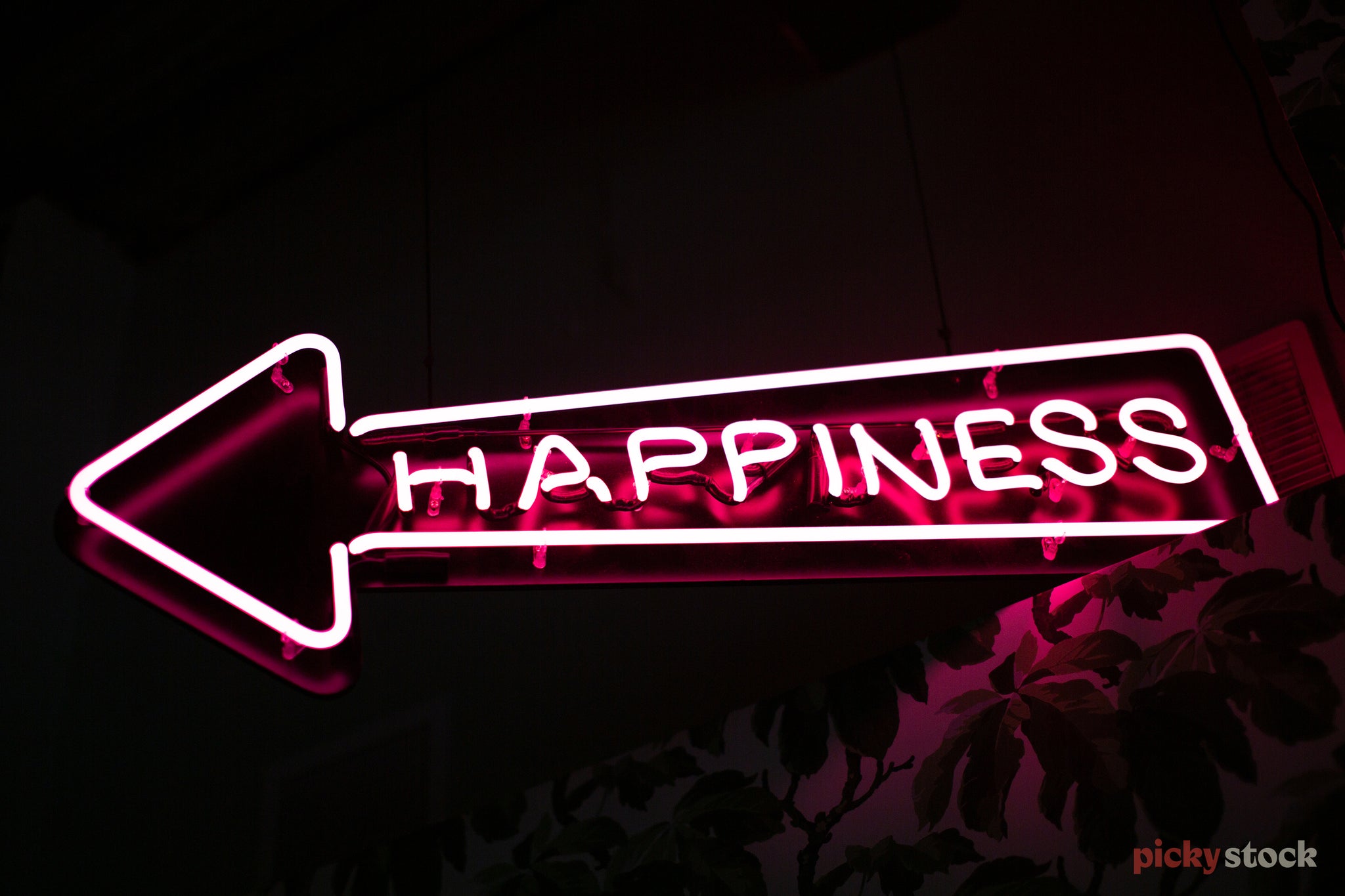 Fuscia pink neon sign saying "happiness" within an arrow points to the left. It sits againts a very black setting. 