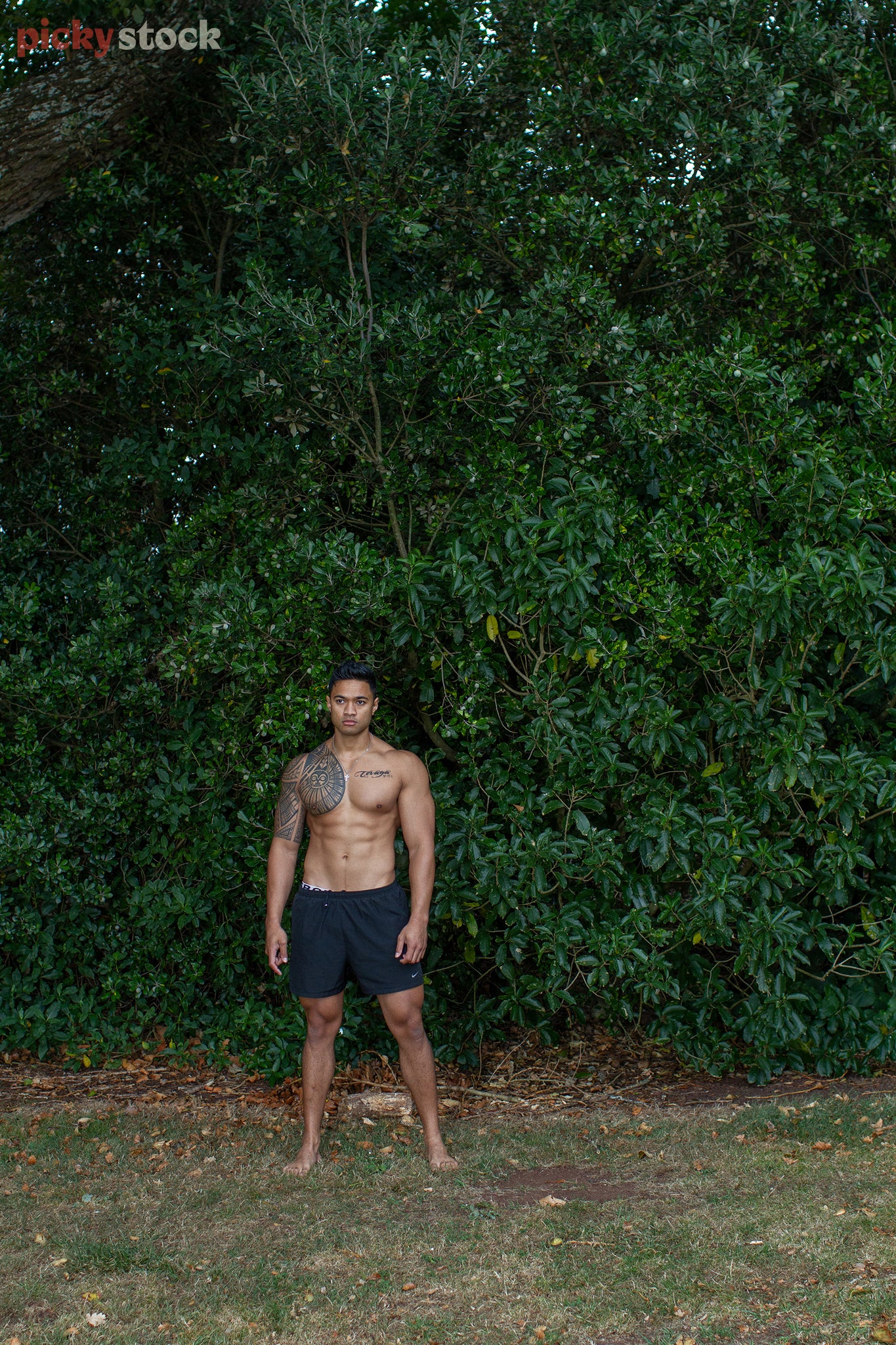 Polynesian man stands confidently in front of large green hedge. Shirtless, his traditional tattoos can be seen on his upper right chest, shoulder and wrapping around his bicep.