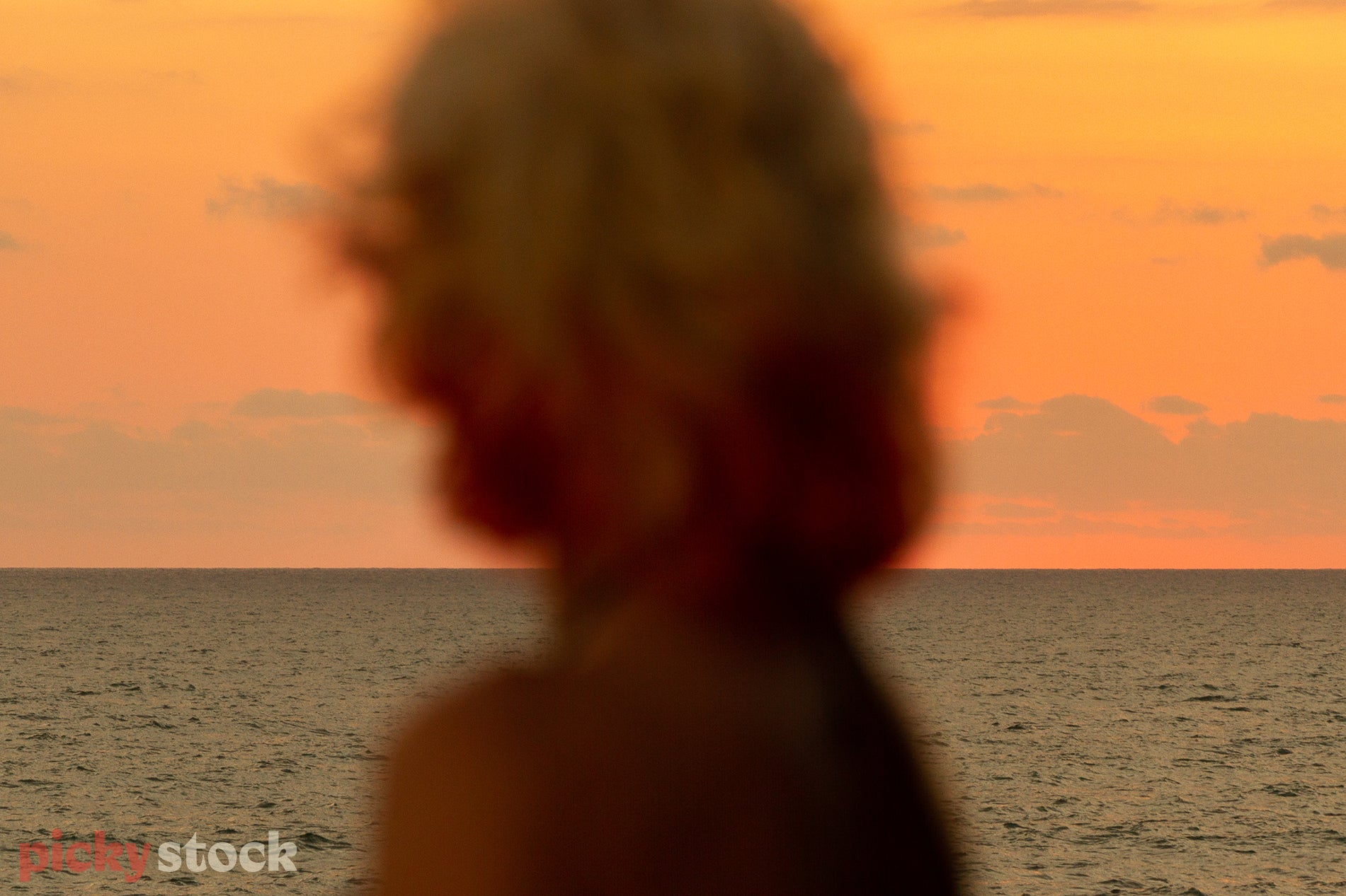Blurry image of the back of a blonde surfy guy's hair as he gazes out to the ocean, the neon pink sunset illuminating his hair. 