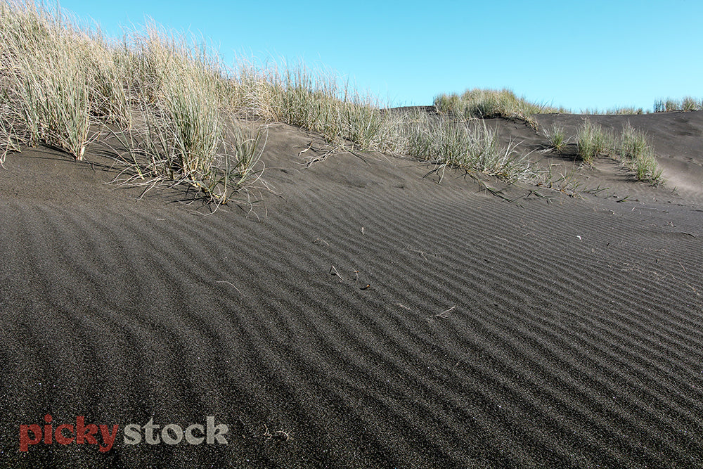 Wind markings in the black sanddunes of Karekare beach. The black sand set against blue sky. 