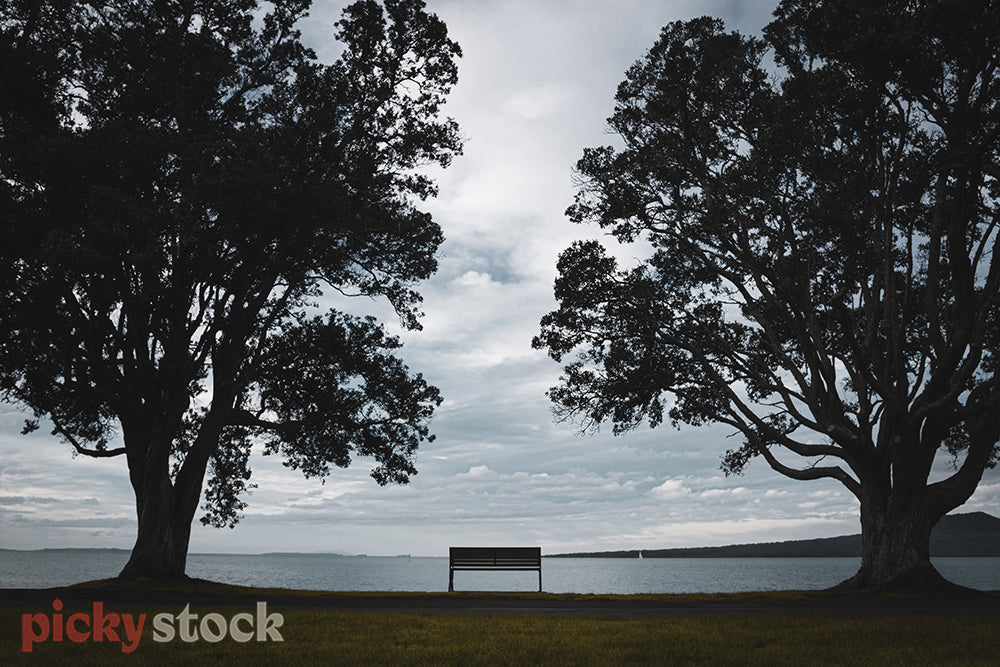 Bench and trees silhouette from land out towards Rangitoto and the sea