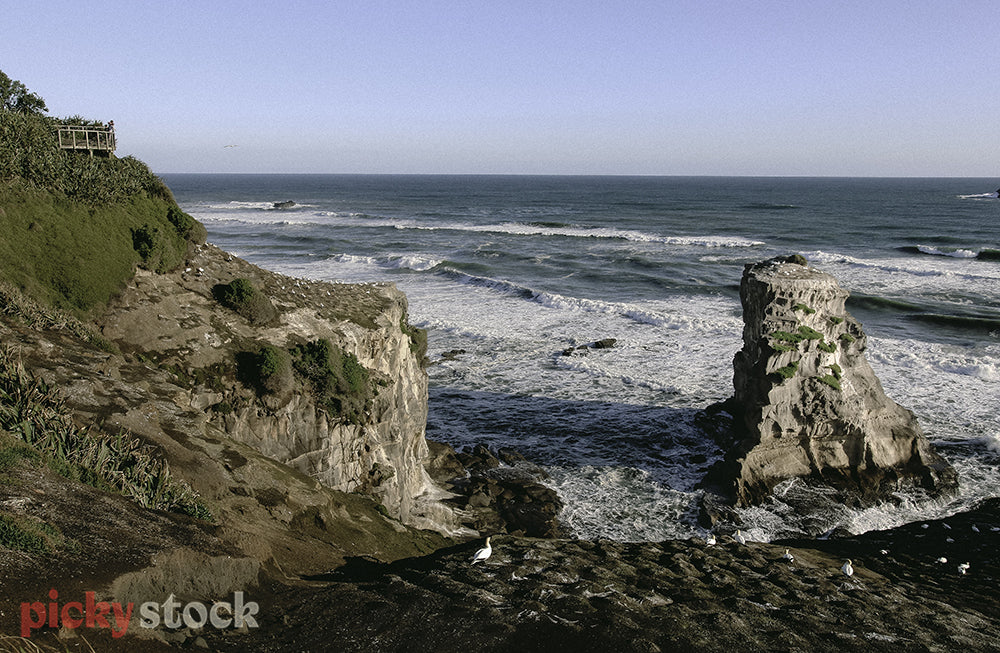 Muriwai cliffs out to sea with gannets on the rocks