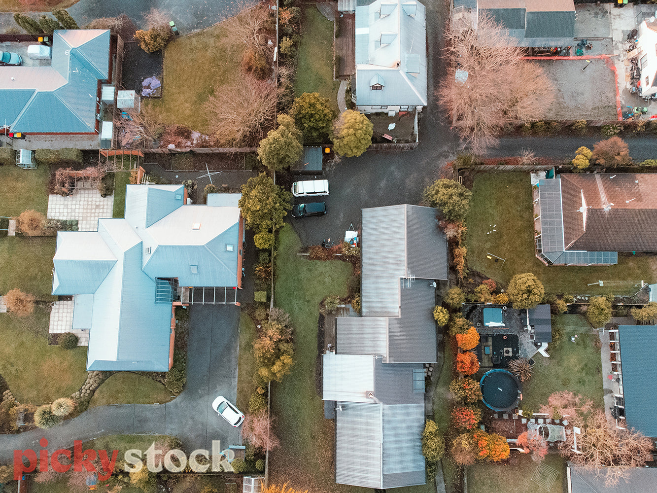 Suburbia from above with trees, cars, driveways peppered in between. 