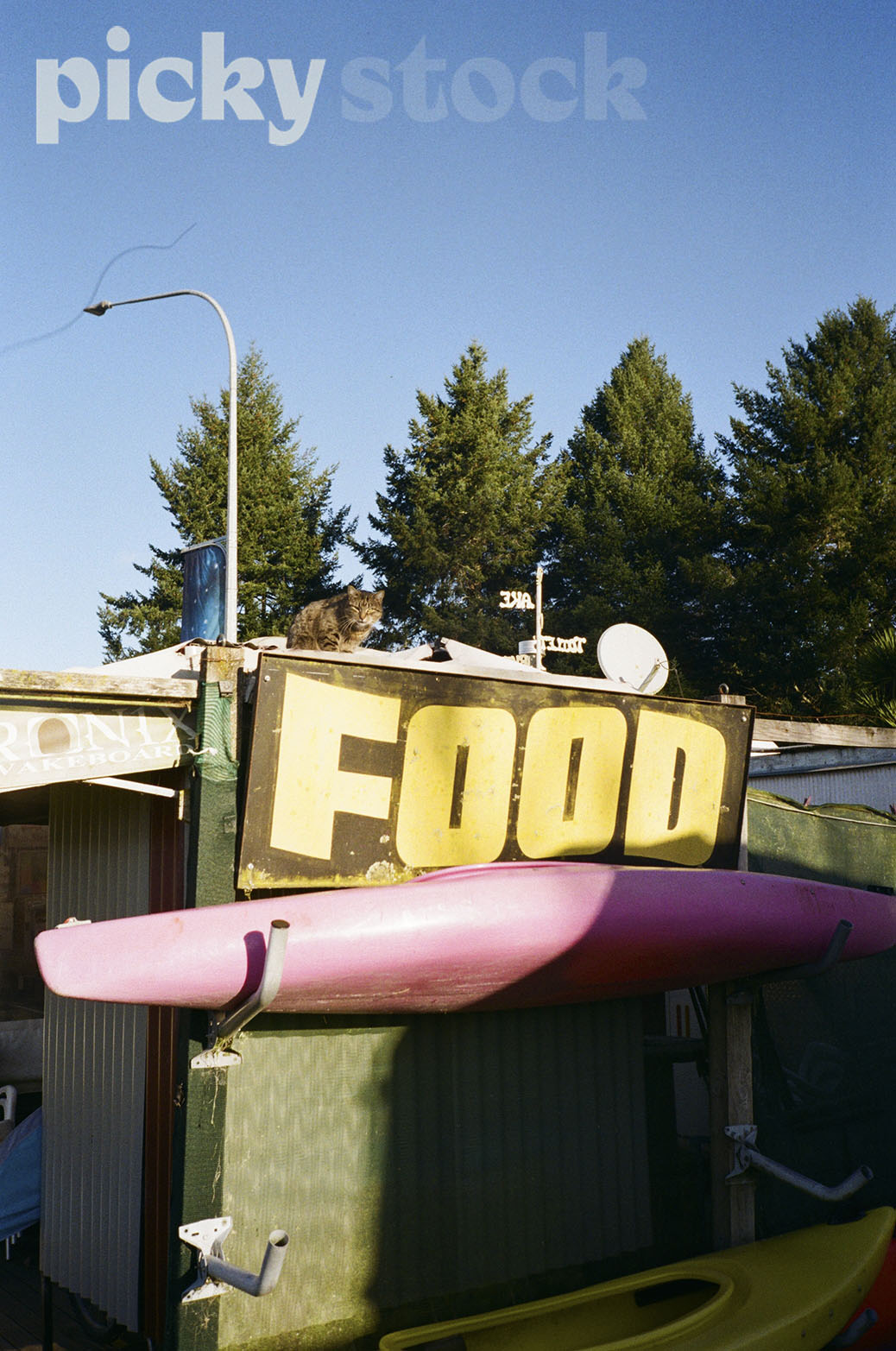 Portrait shot of a store, with a sign in yellow saying Food in caps lock. Kayak rack, with two kayaks stacked, pink and yellow. Blue sky. Cat sitting on the roof of the shop looking at camera